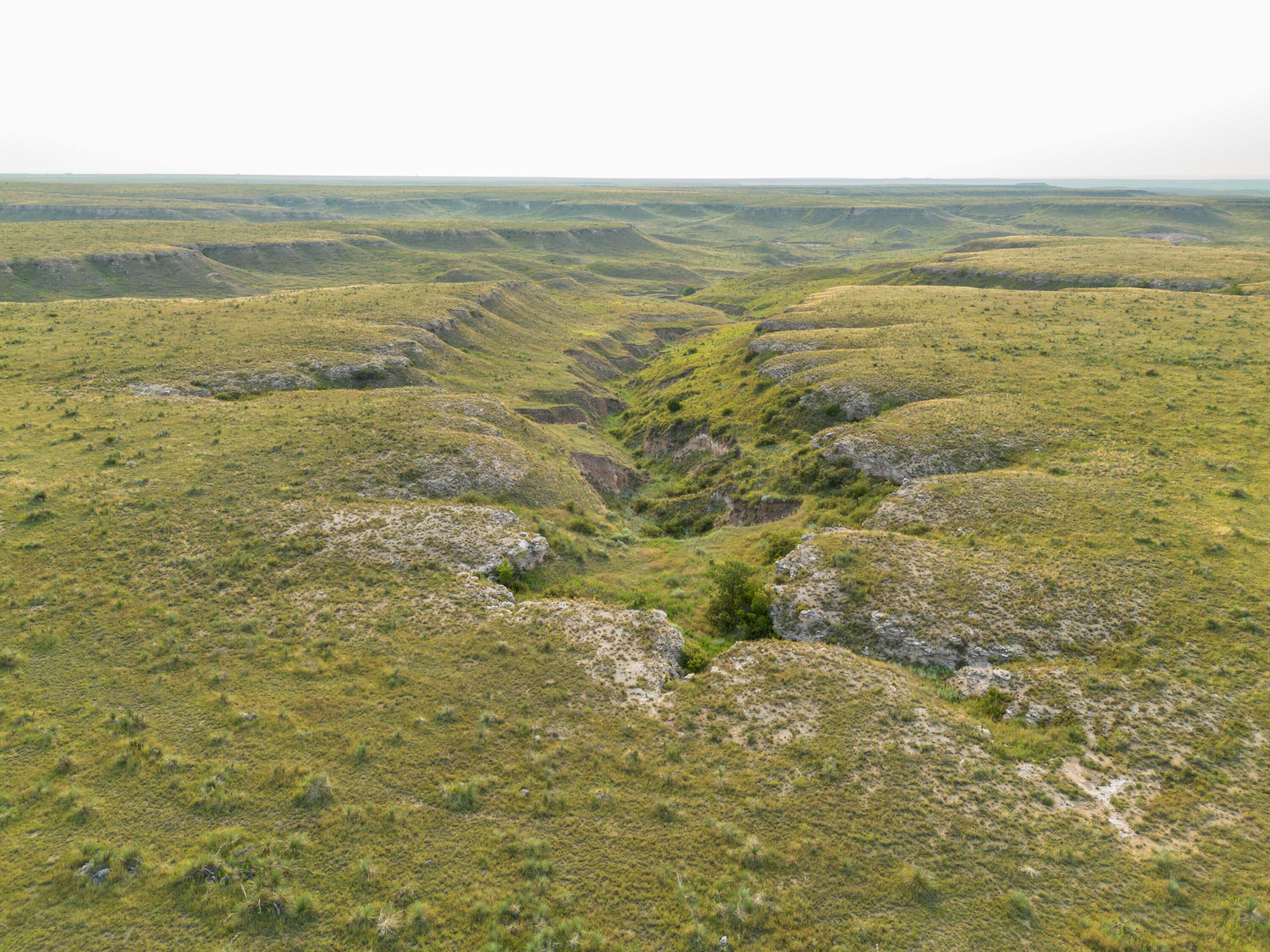 Hwy 207 Hunting, Stinnett, Texas image 34