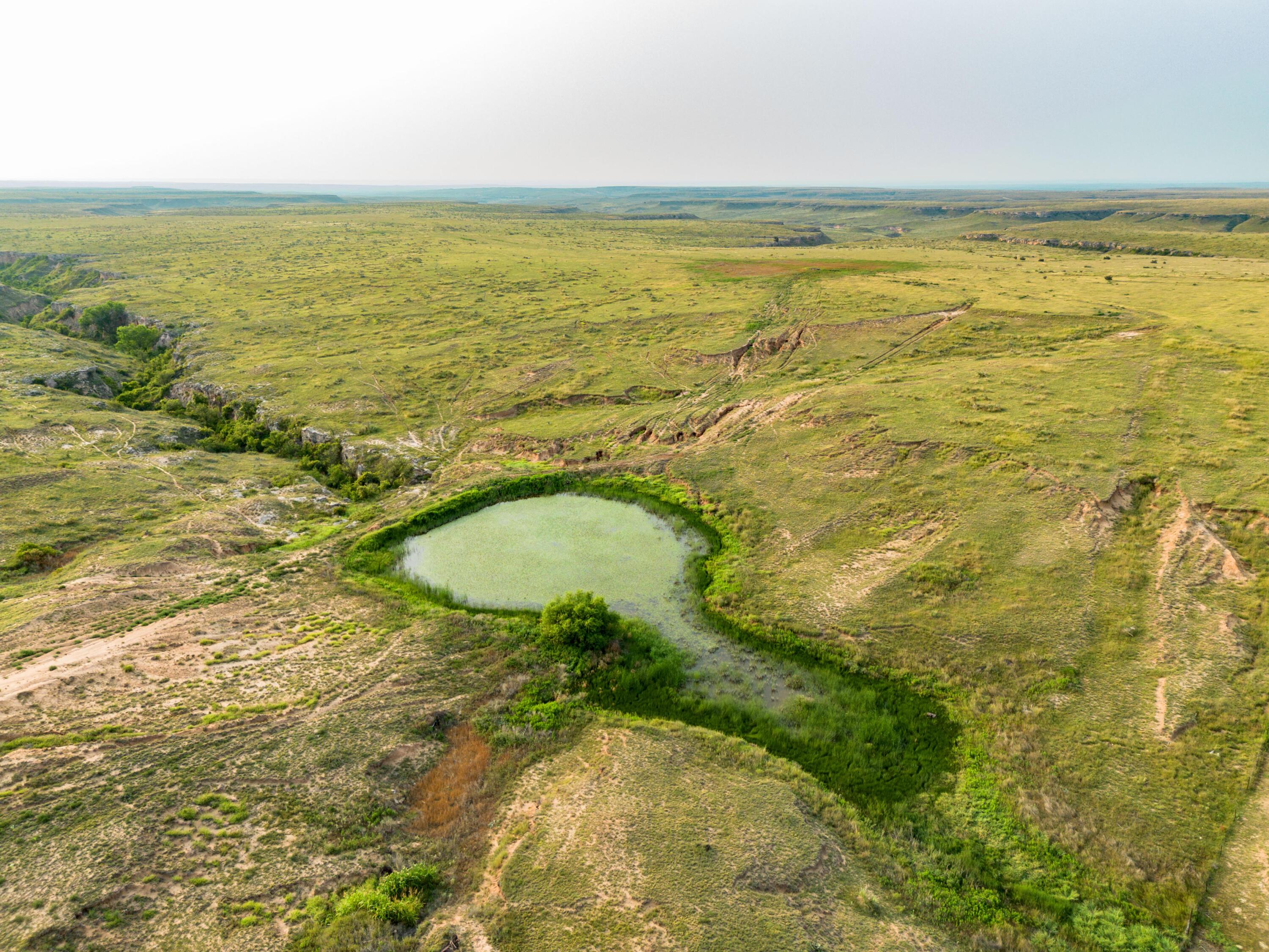 Hwy 207 Hunting, Stinnett, Texas image 39