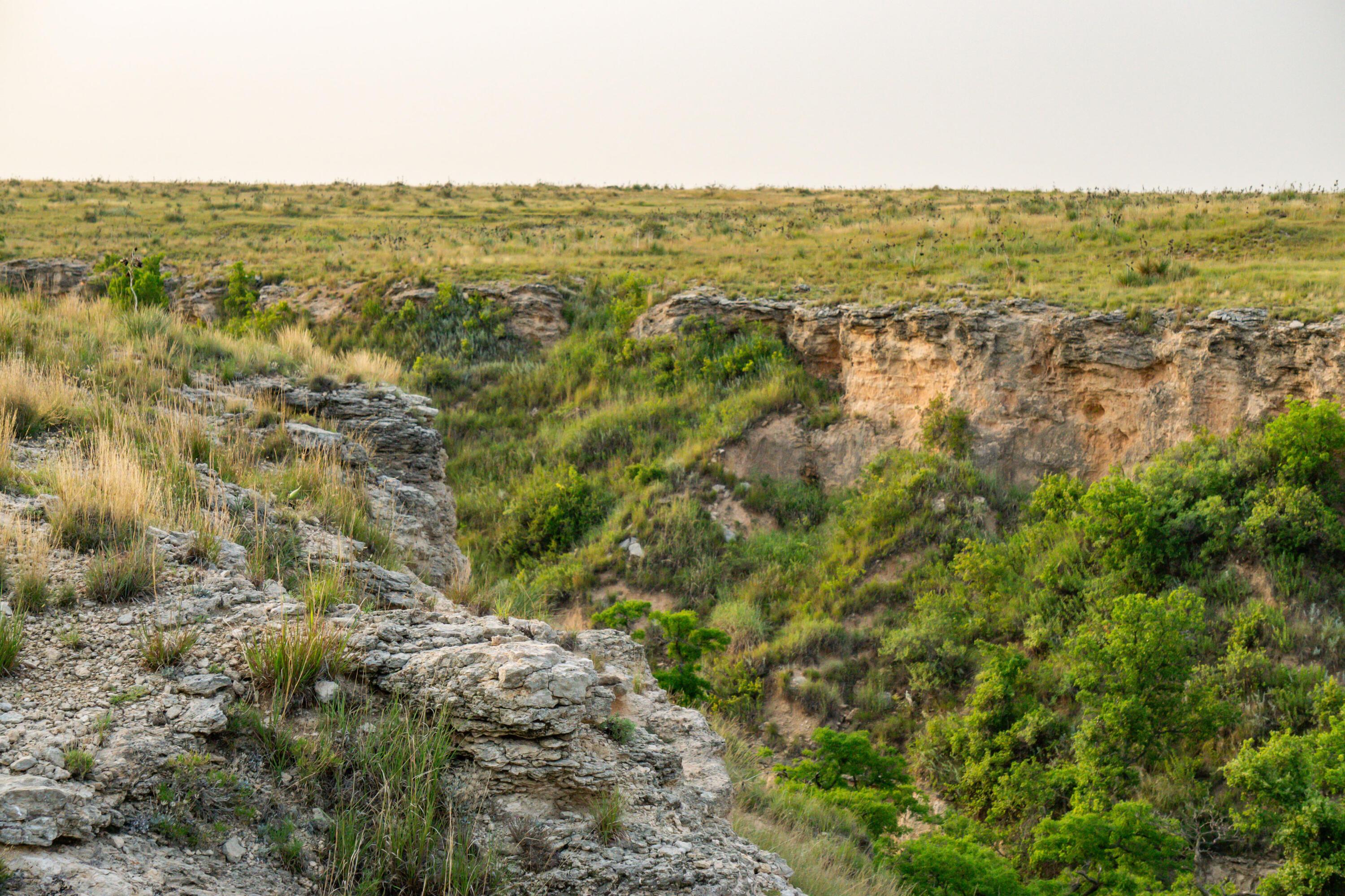 Hwy 207 Hunting, Stinnett, Texas image 13