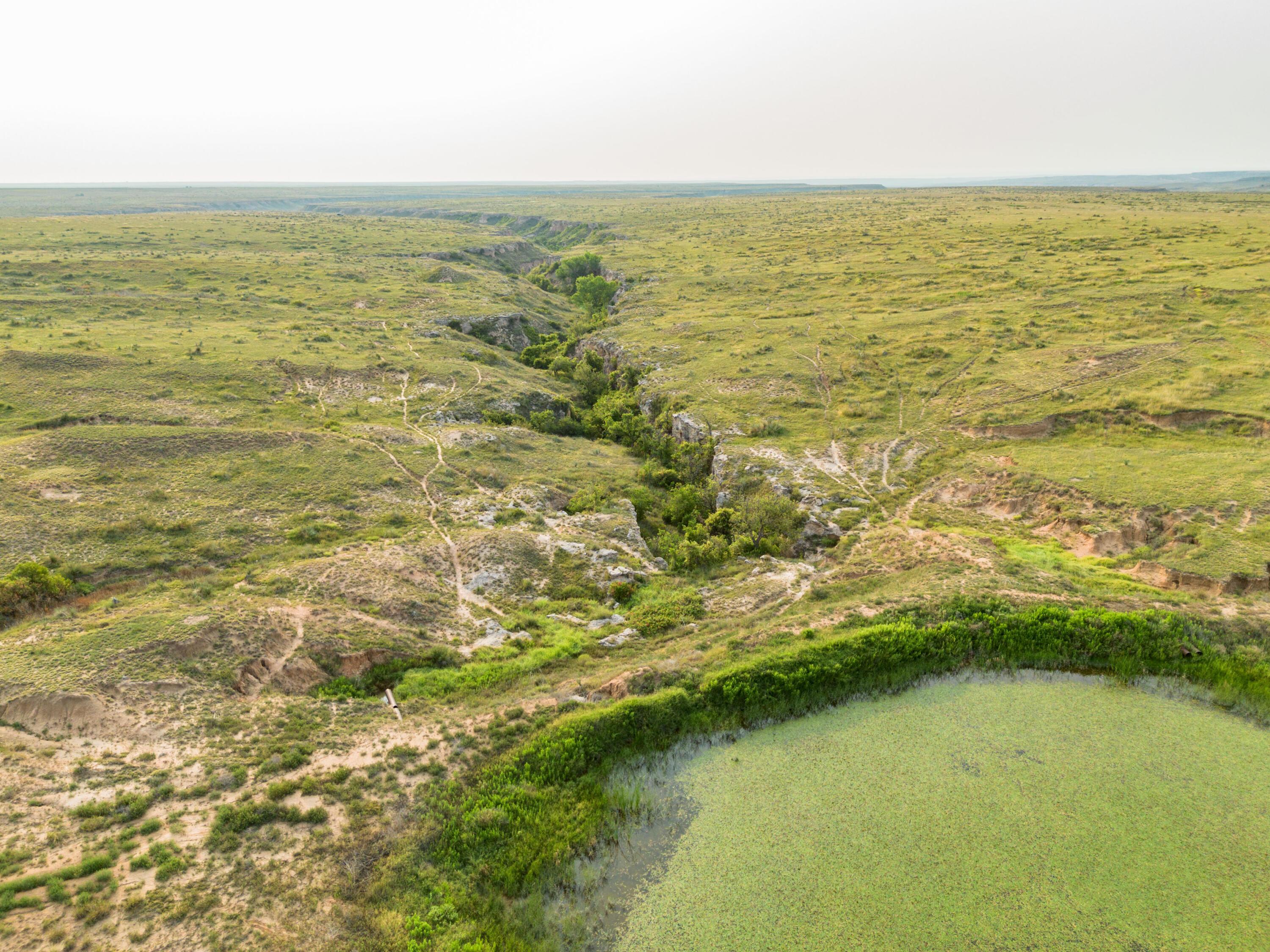 Hwy 207 Hunting, Stinnett, Texas image 40