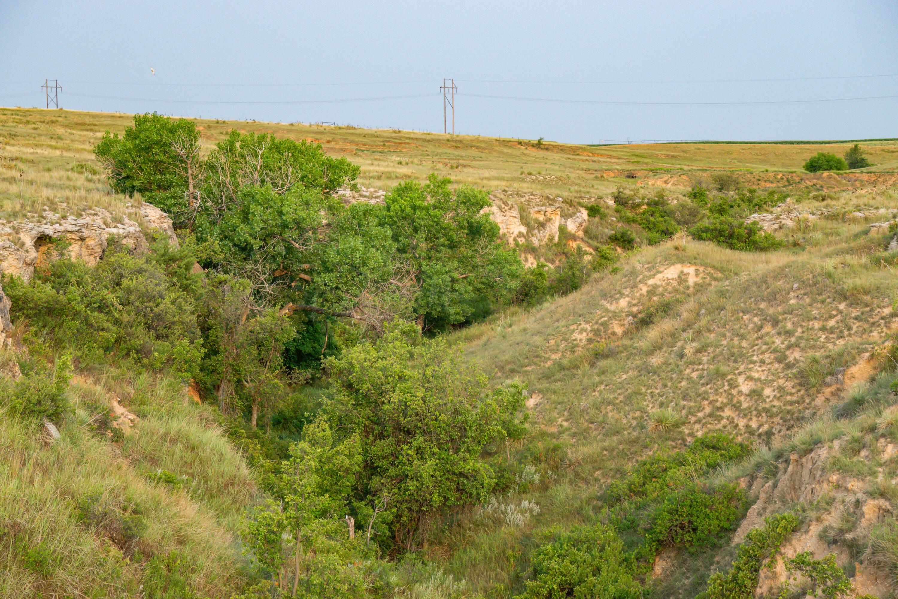 Hwy 207 Hunting, Stinnett, Texas image 12