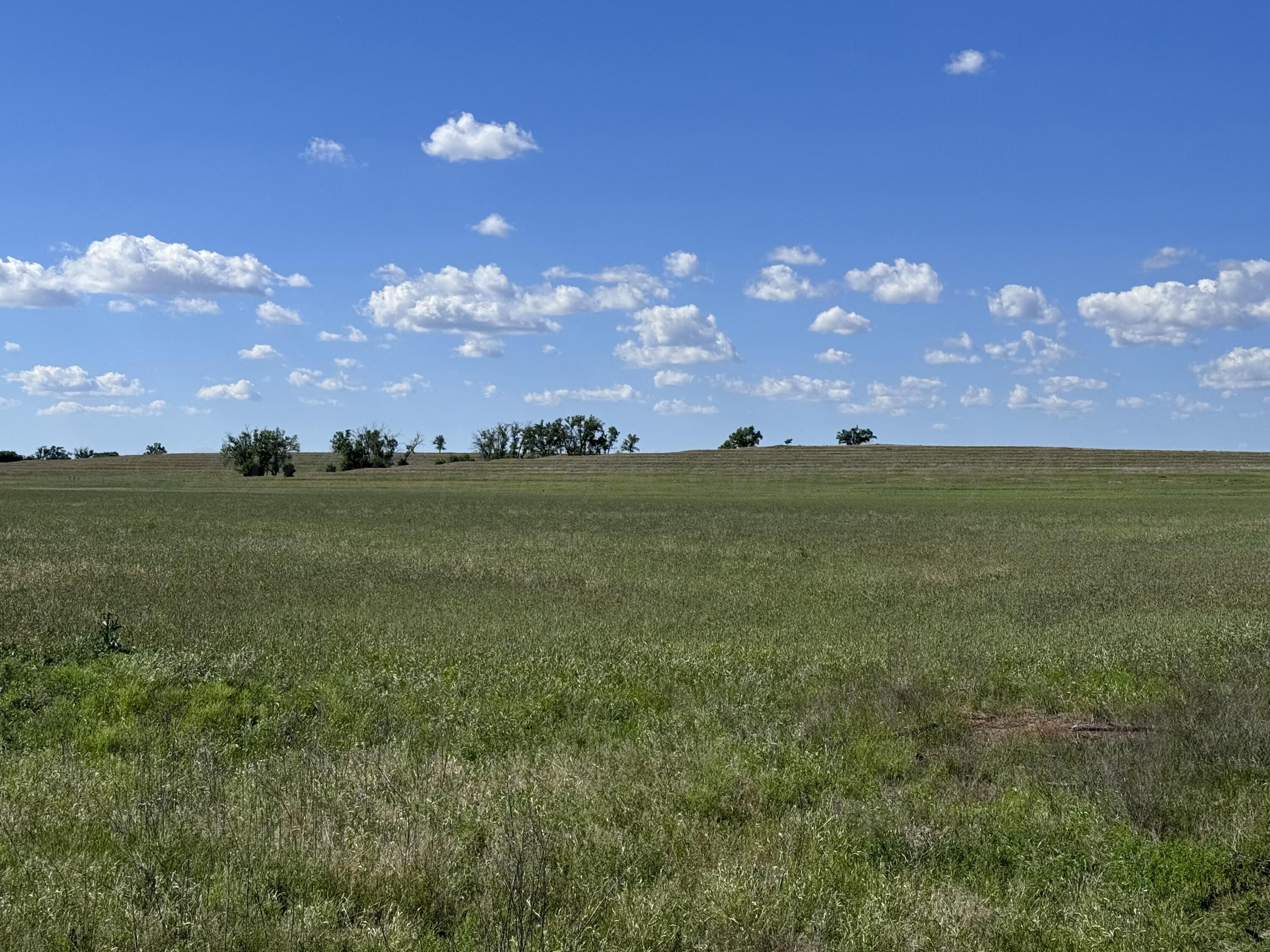 88 Co Rd 12 Rd, Shamrock, Texas image 1