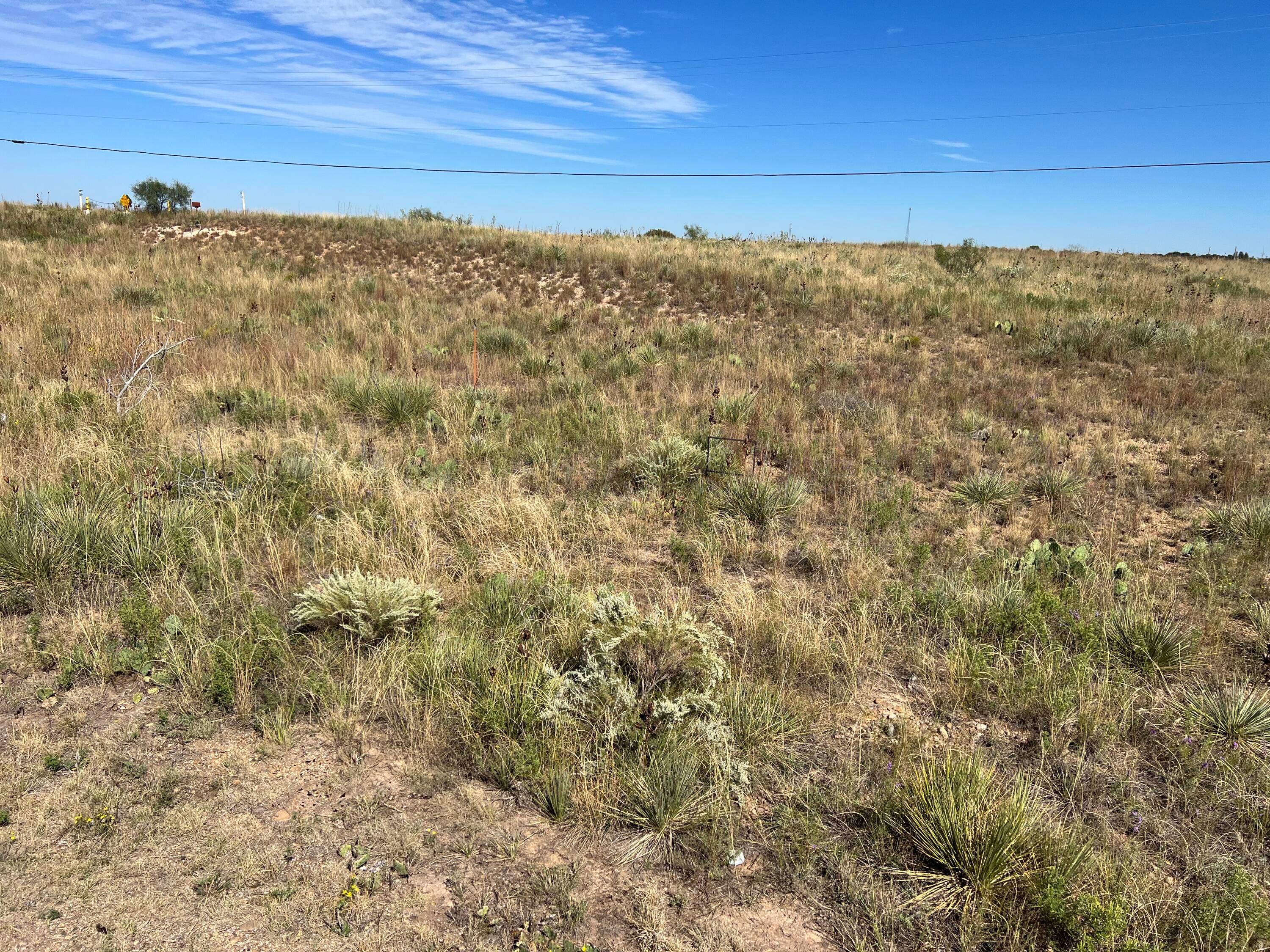 Lot262-265 Harbor Drive, Fritch, Texas image 1