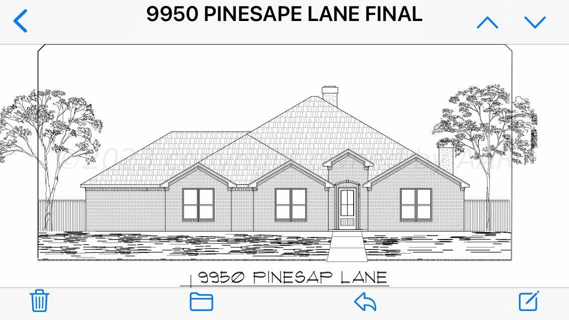 9950 Pinesap Ln, Amarillo, Pennsylvania image 1