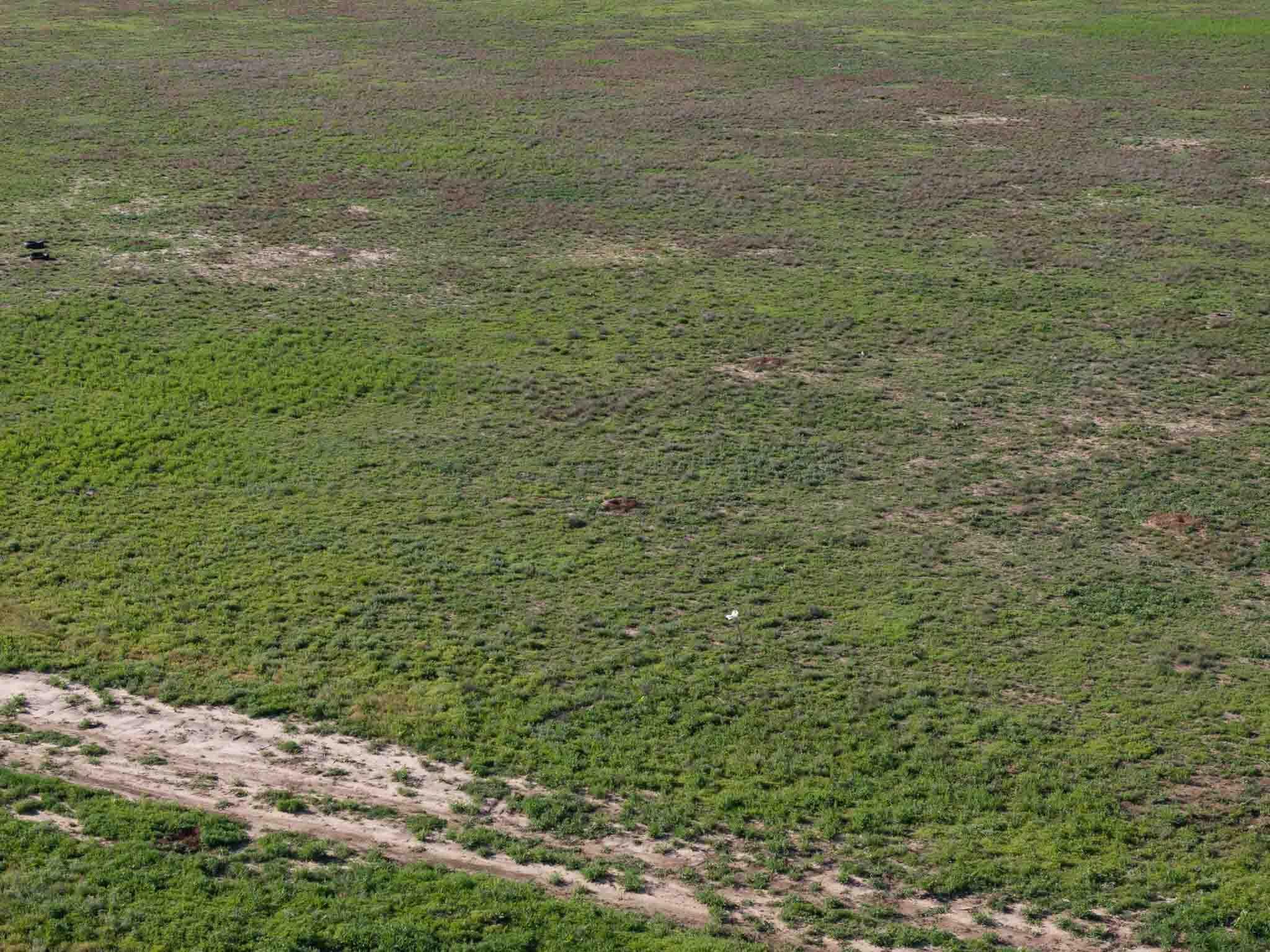 75 40 Acres Stoker Road St, Amarillo, Alaska image 8