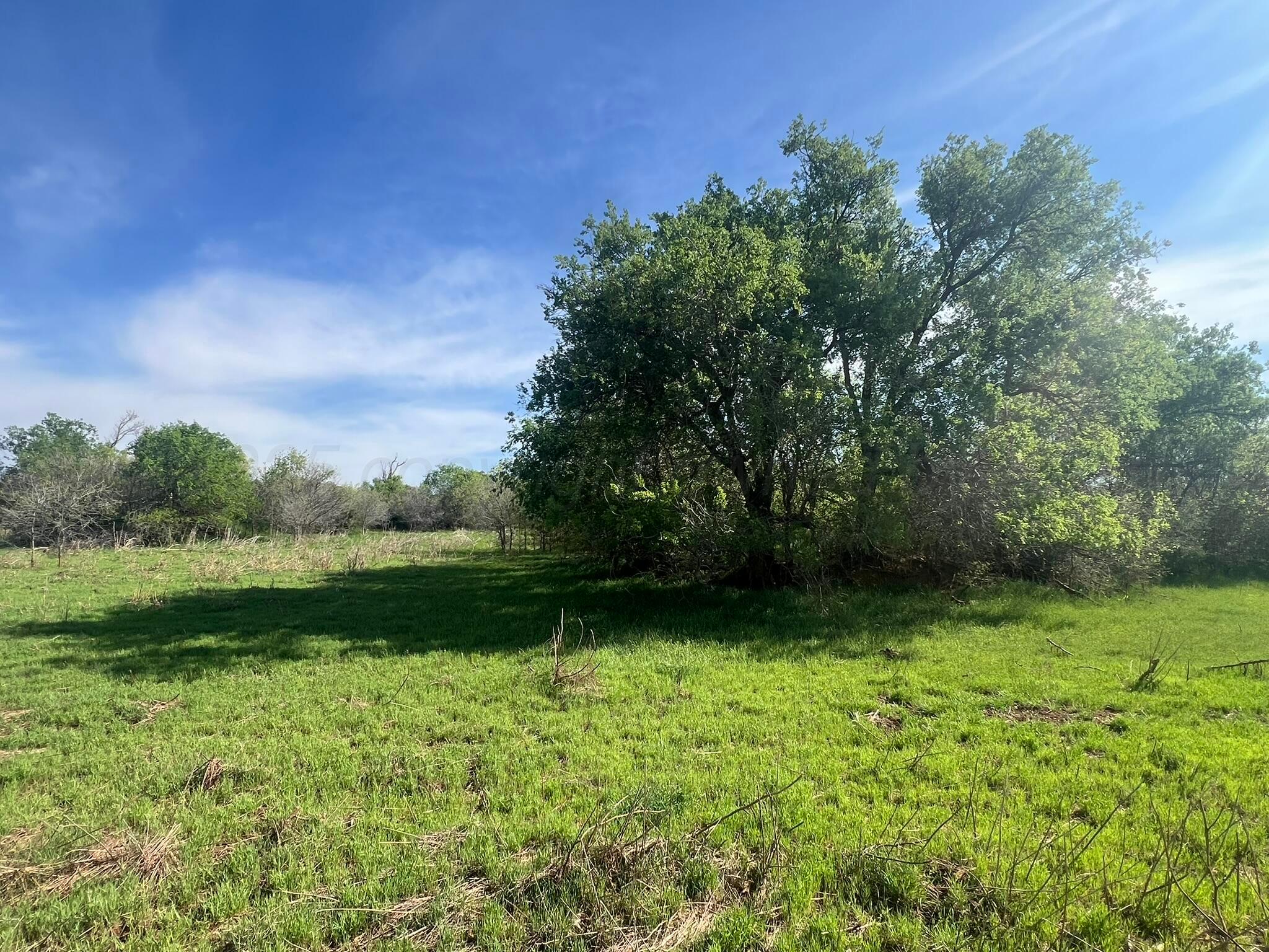 1277 W County Road 184 Dr, Cee Vee, Texas image 40