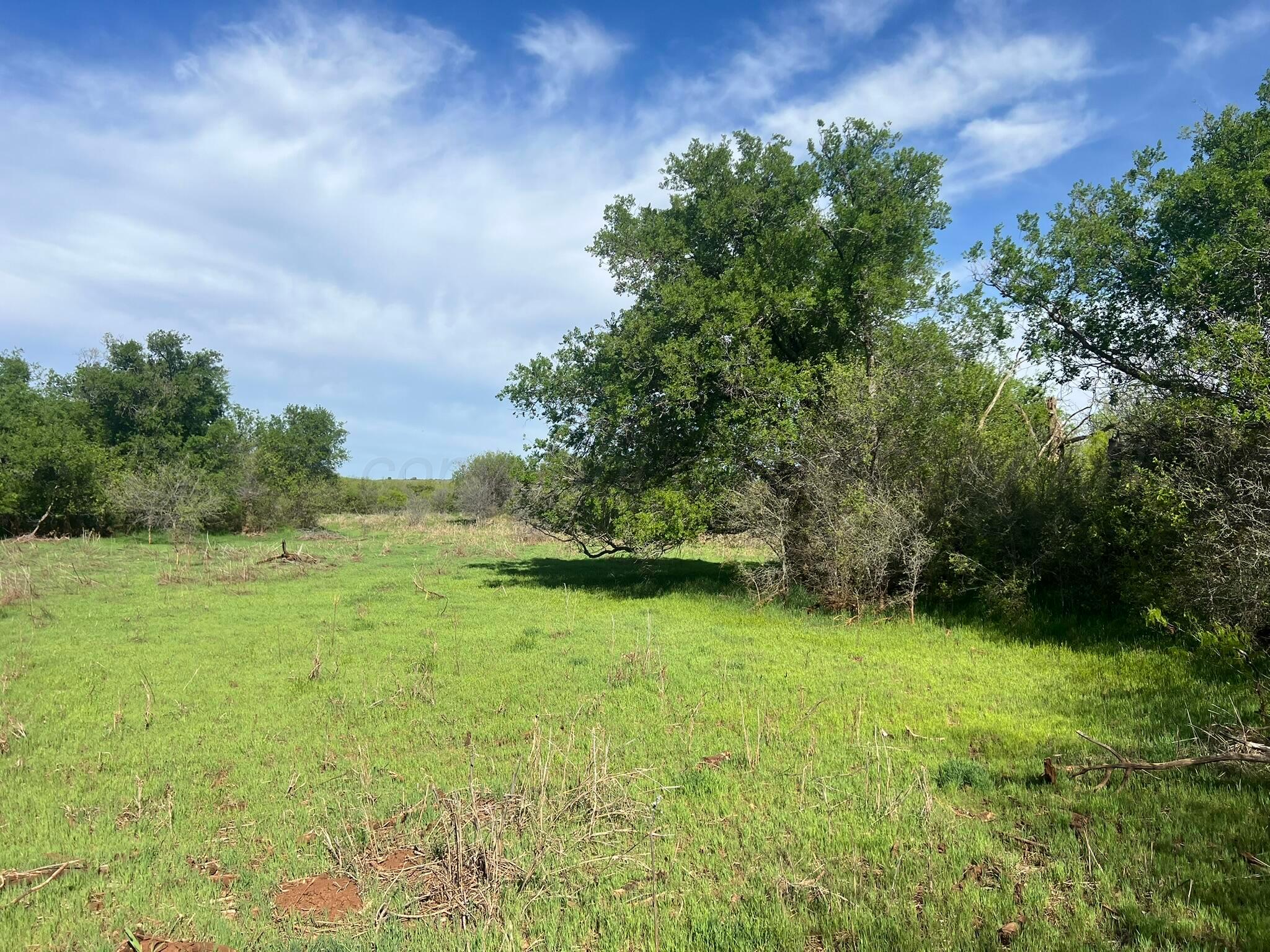 1277 W County Road 184 Dr, Cee Vee, Texas image 38