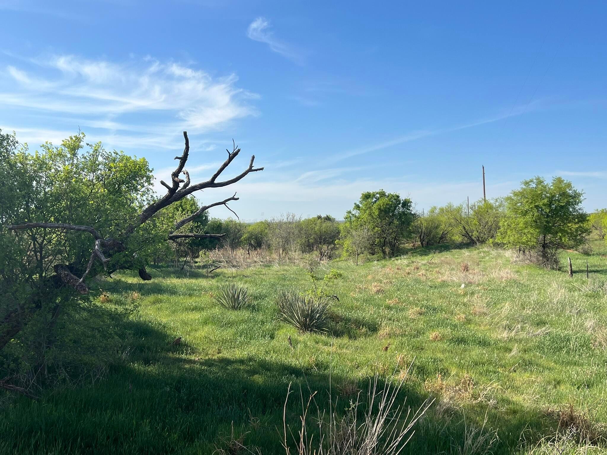 1277 W County Road 184 Dr, Cee Vee, Texas image 12