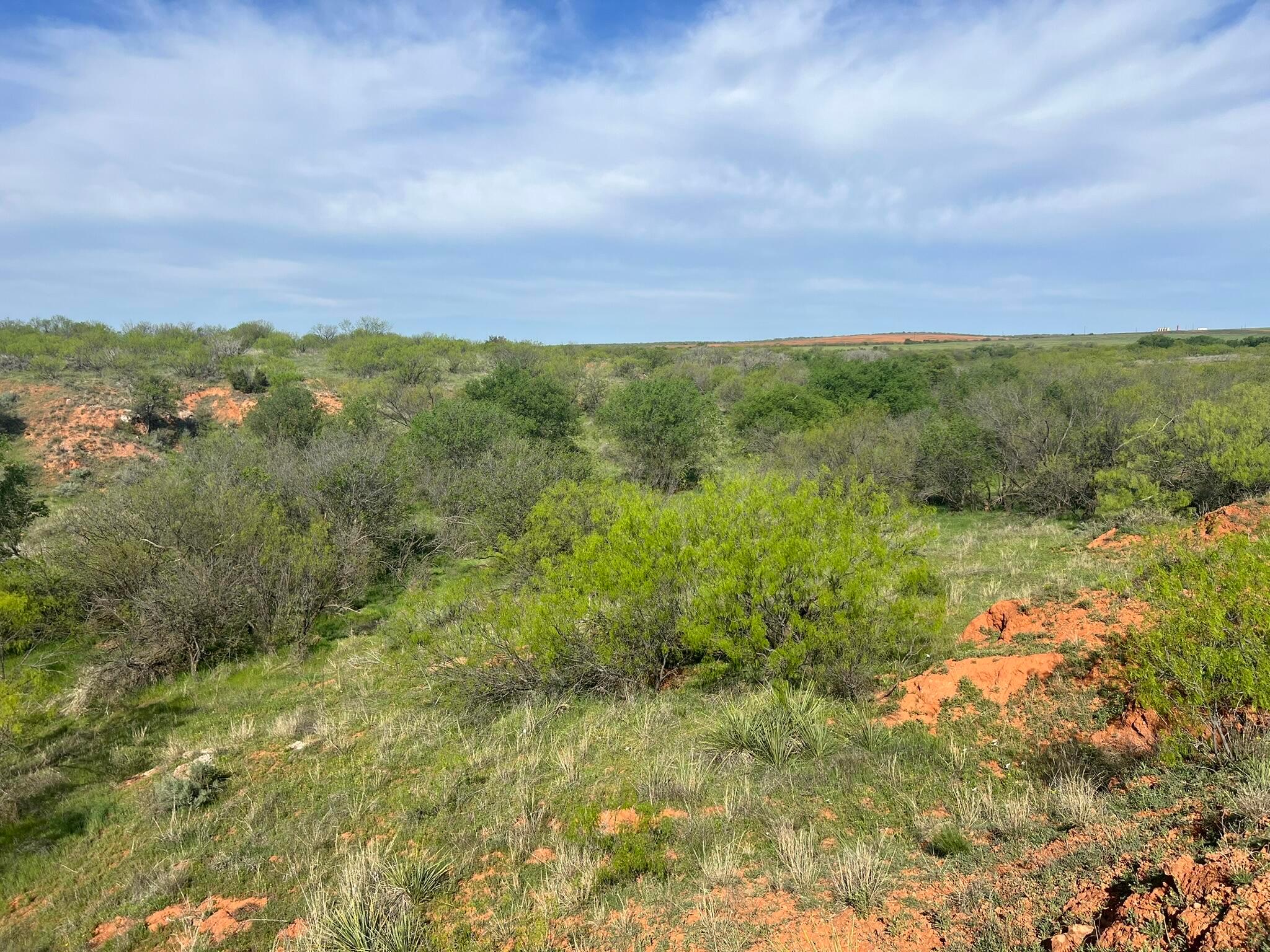1277 W County Road 184 Dr, Cee Vee, Texas image 34