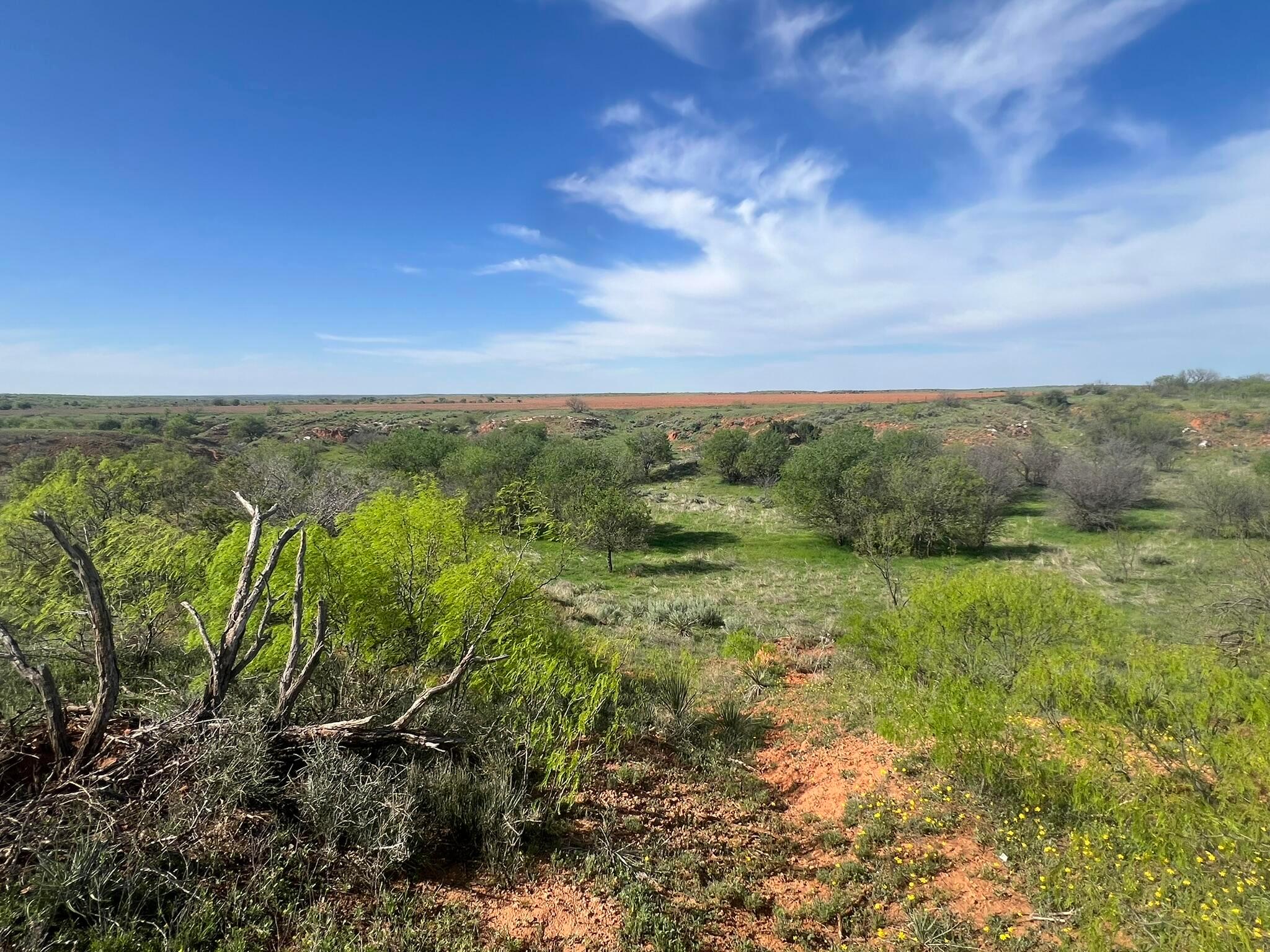1277 W County Road 184 Dr, Cee Vee, Texas image 31