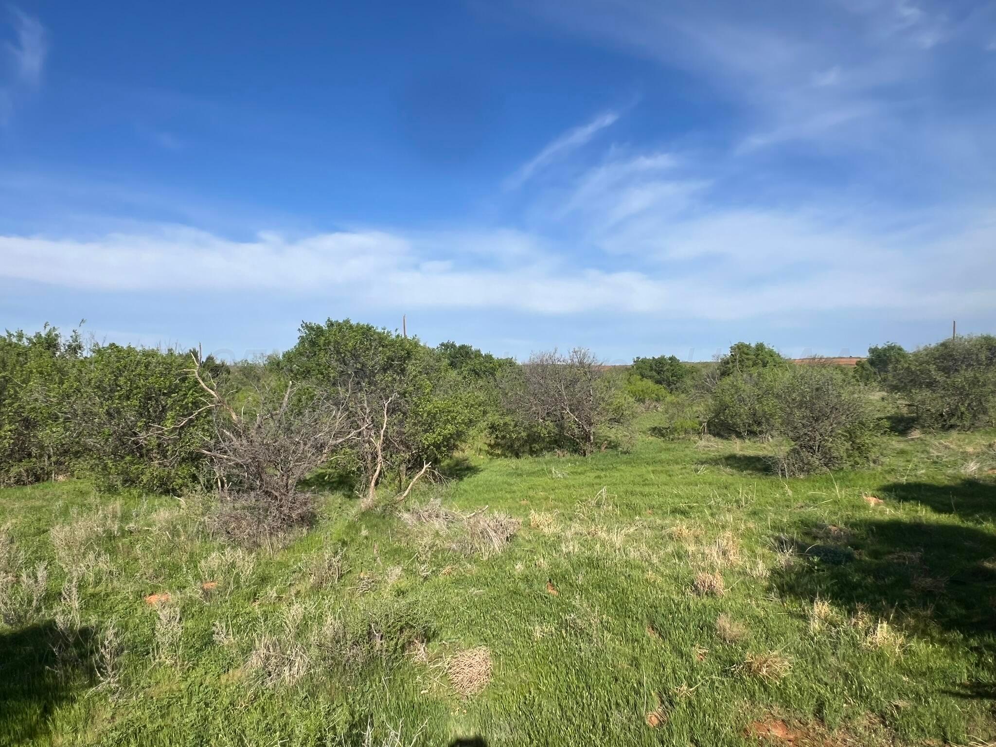 1277 W County Road 184 Dr, Cee Vee, Texas image 13