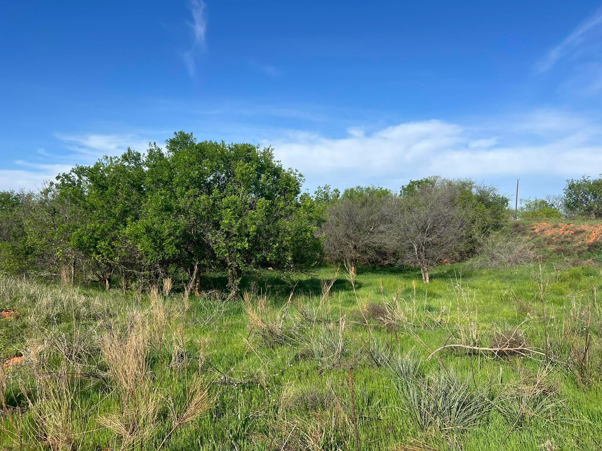 1277 W County Road 184 Dr, Cee Vee, Texas image 15