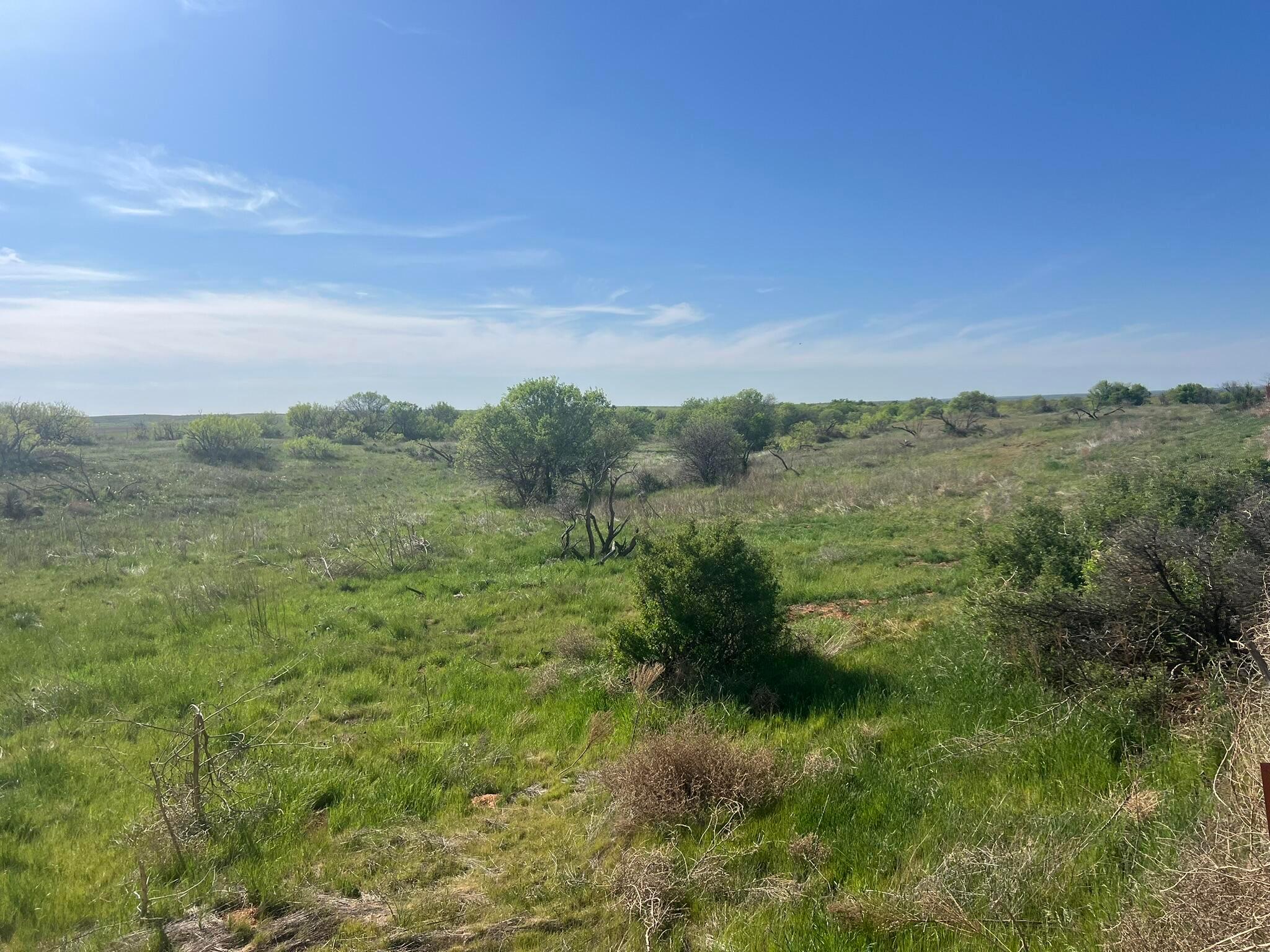 1277 W County Road 184 Dr, Cee Vee, Texas image 25