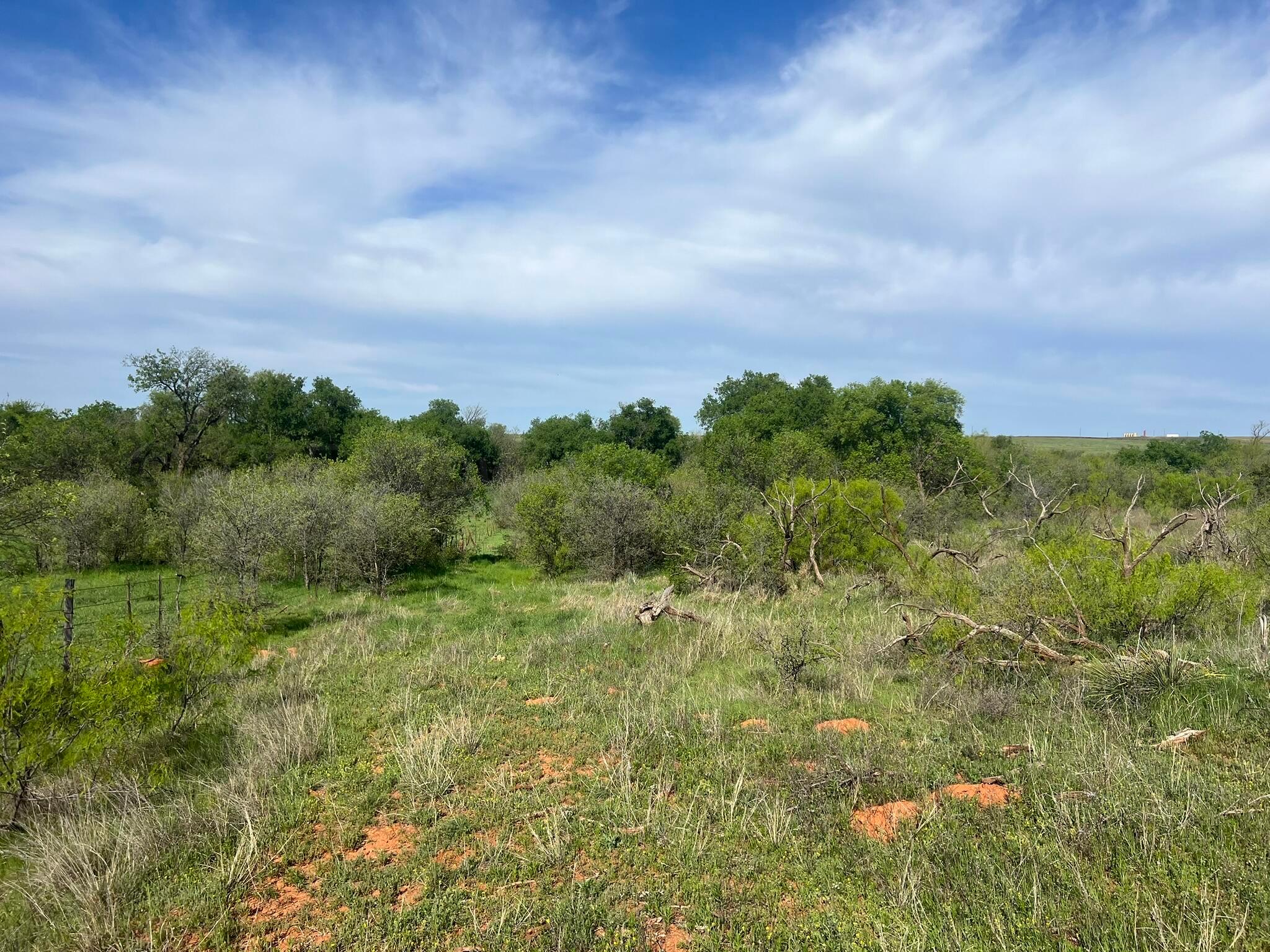 1277 W County Road 184 Dr, Cee Vee, Texas image 37