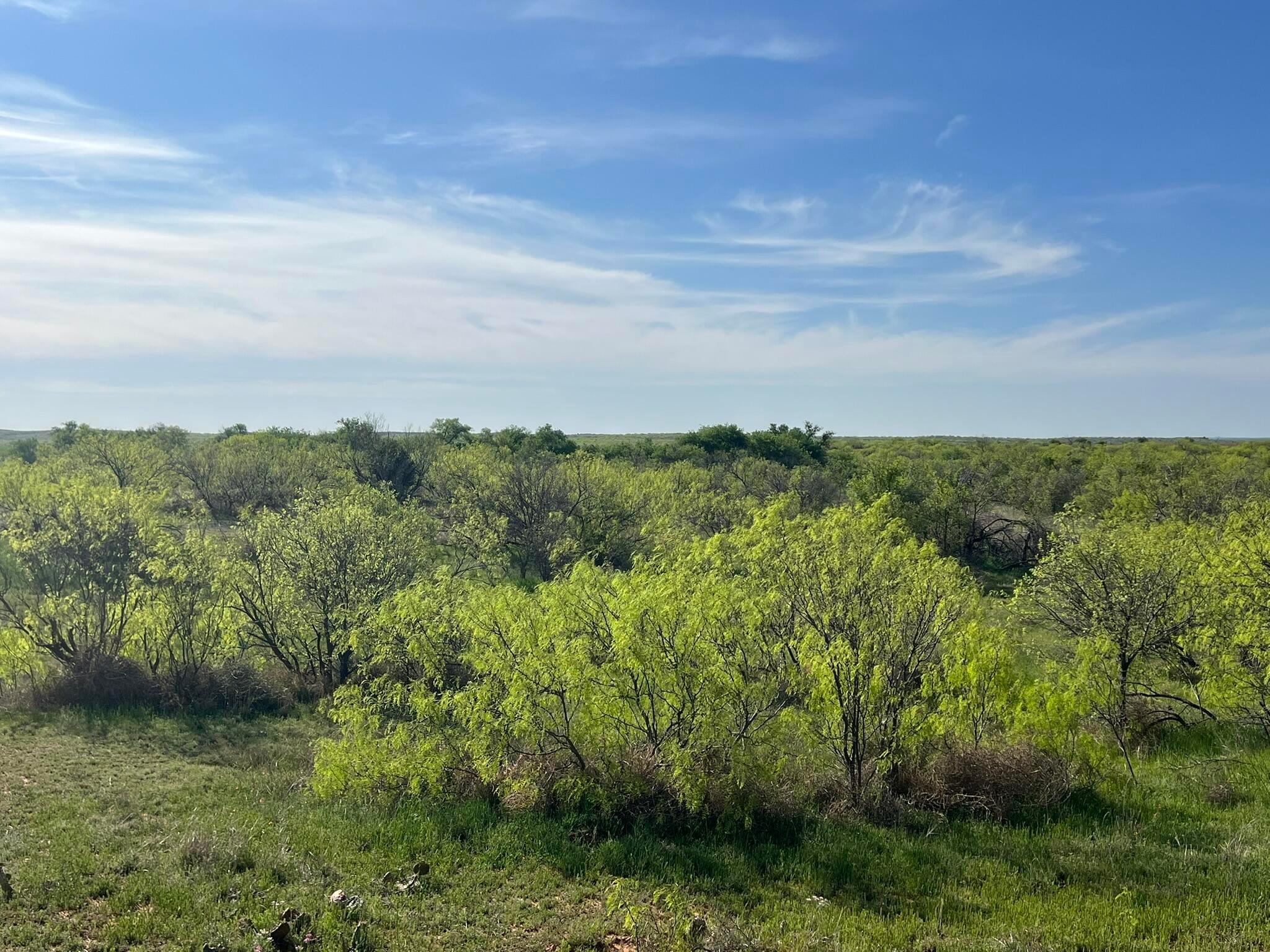 1277 W County Road 184 Dr, Cee Vee, Texas image 24