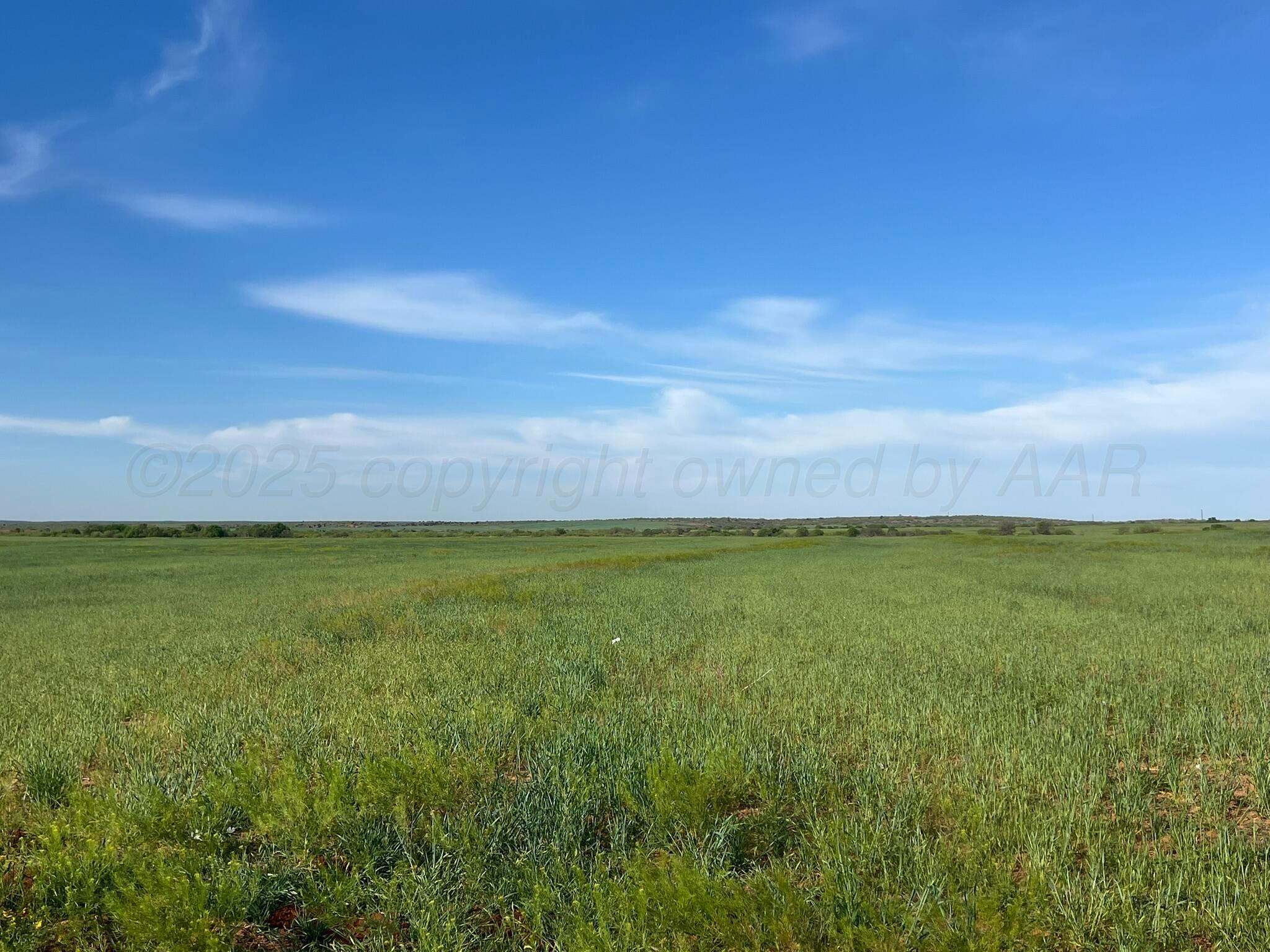 1277 W County Road 184 Dr, Cee Vee, Texas image 2