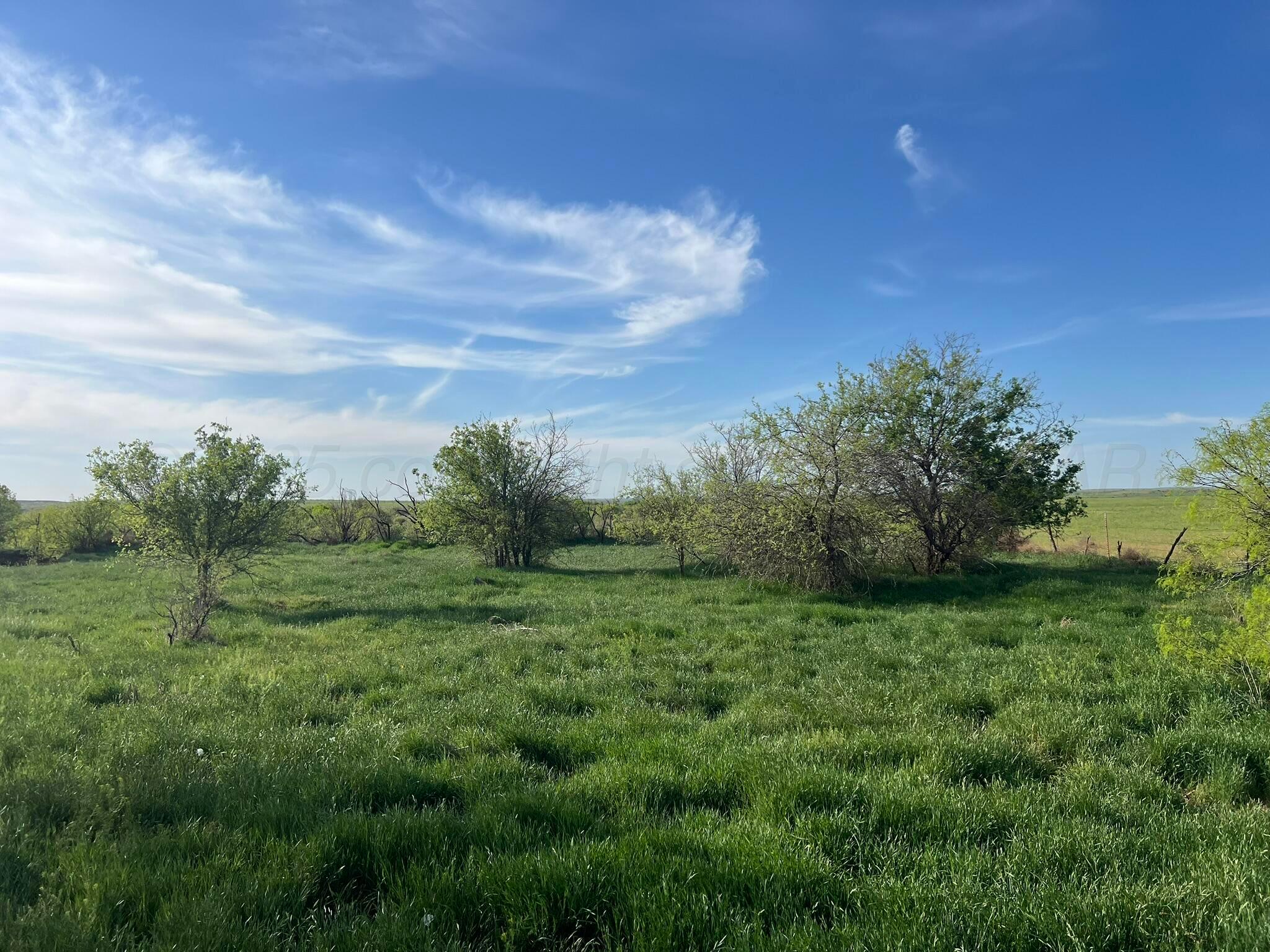 1277 W County Road 184 Dr, Cee Vee, Texas image 8