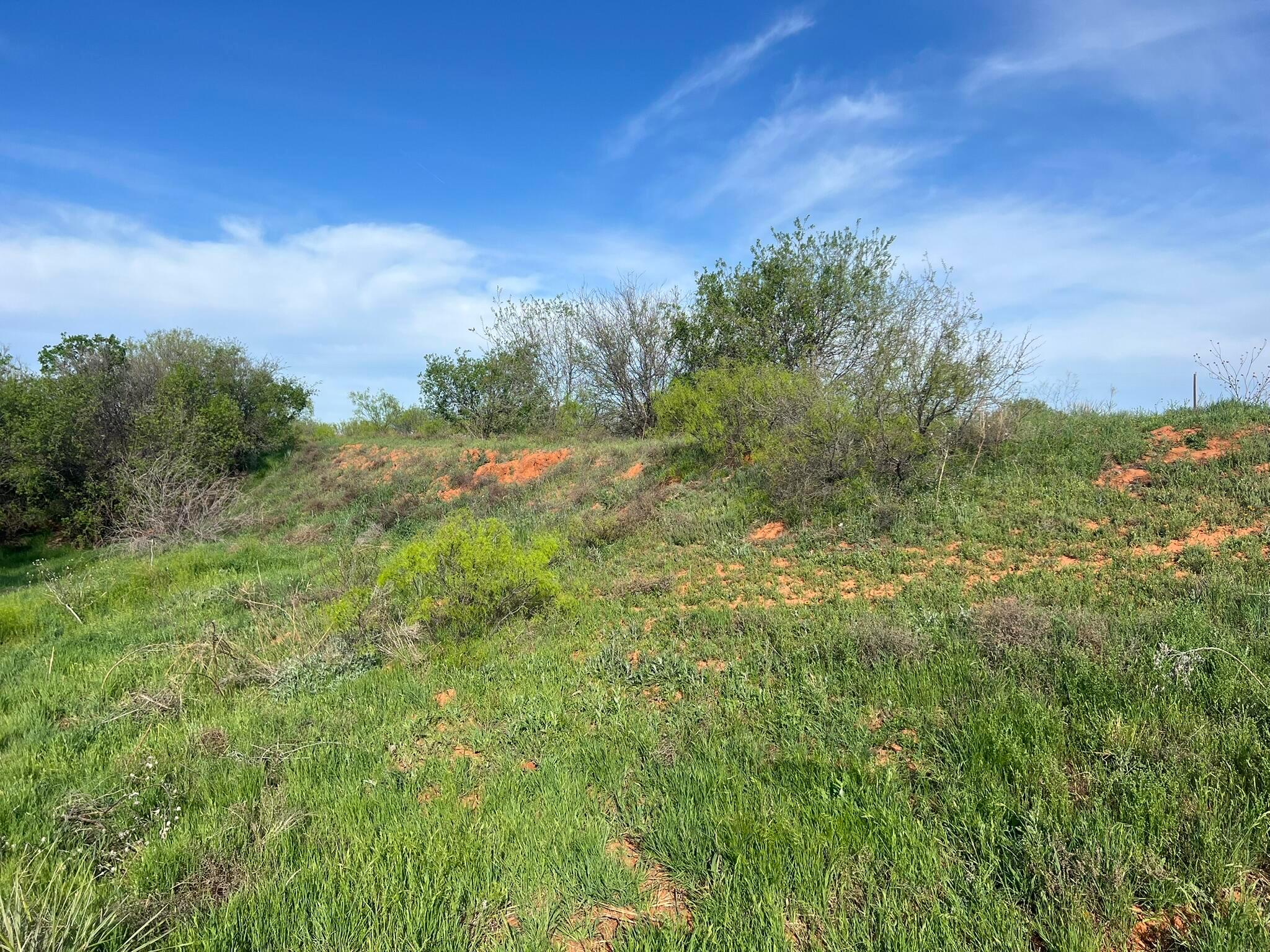 1277 W County Road 184 Dr, Cee Vee, Texas image 16