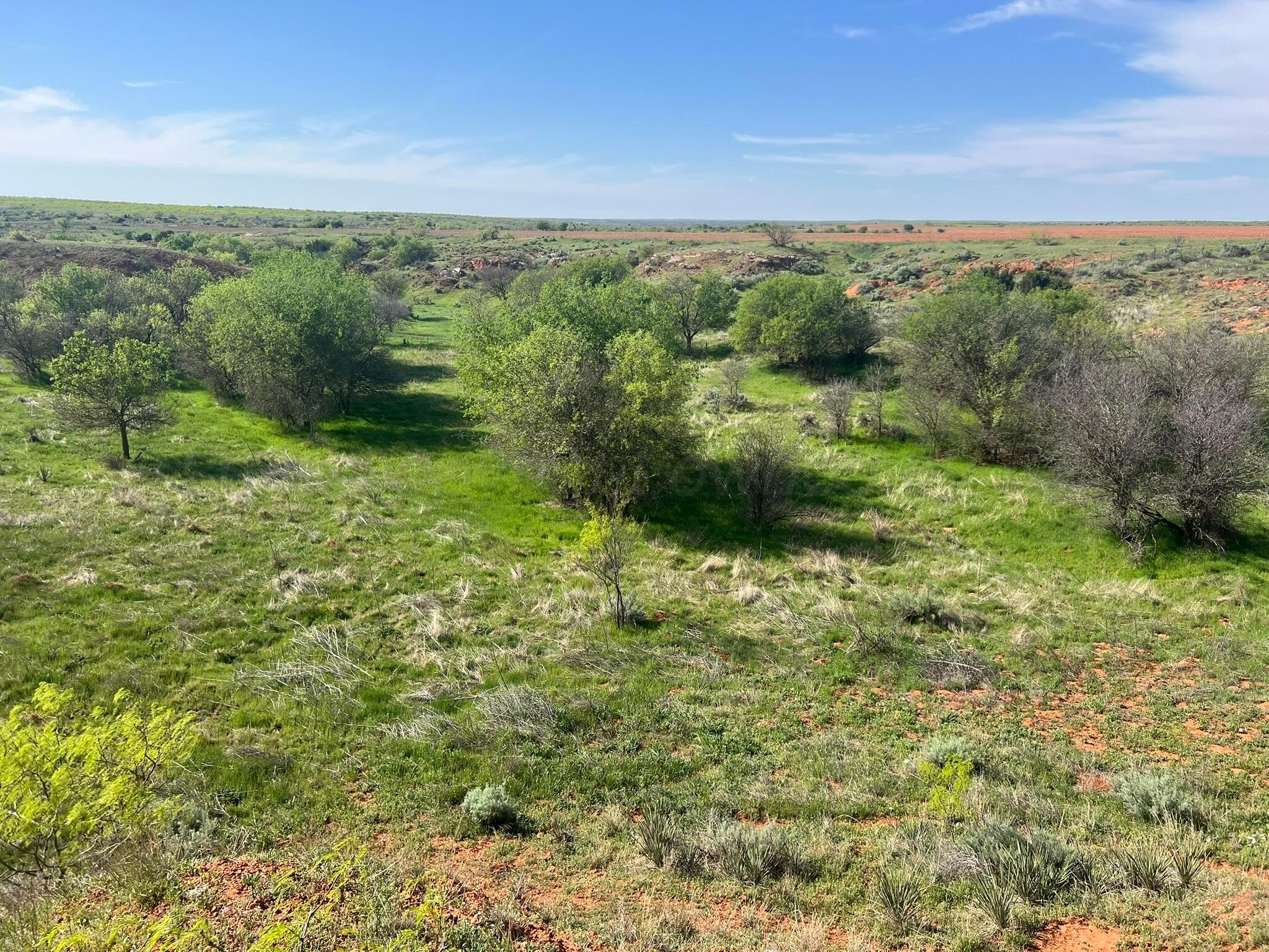 1277 W County Road 184 Dr, Cee Vee, Texas image 33