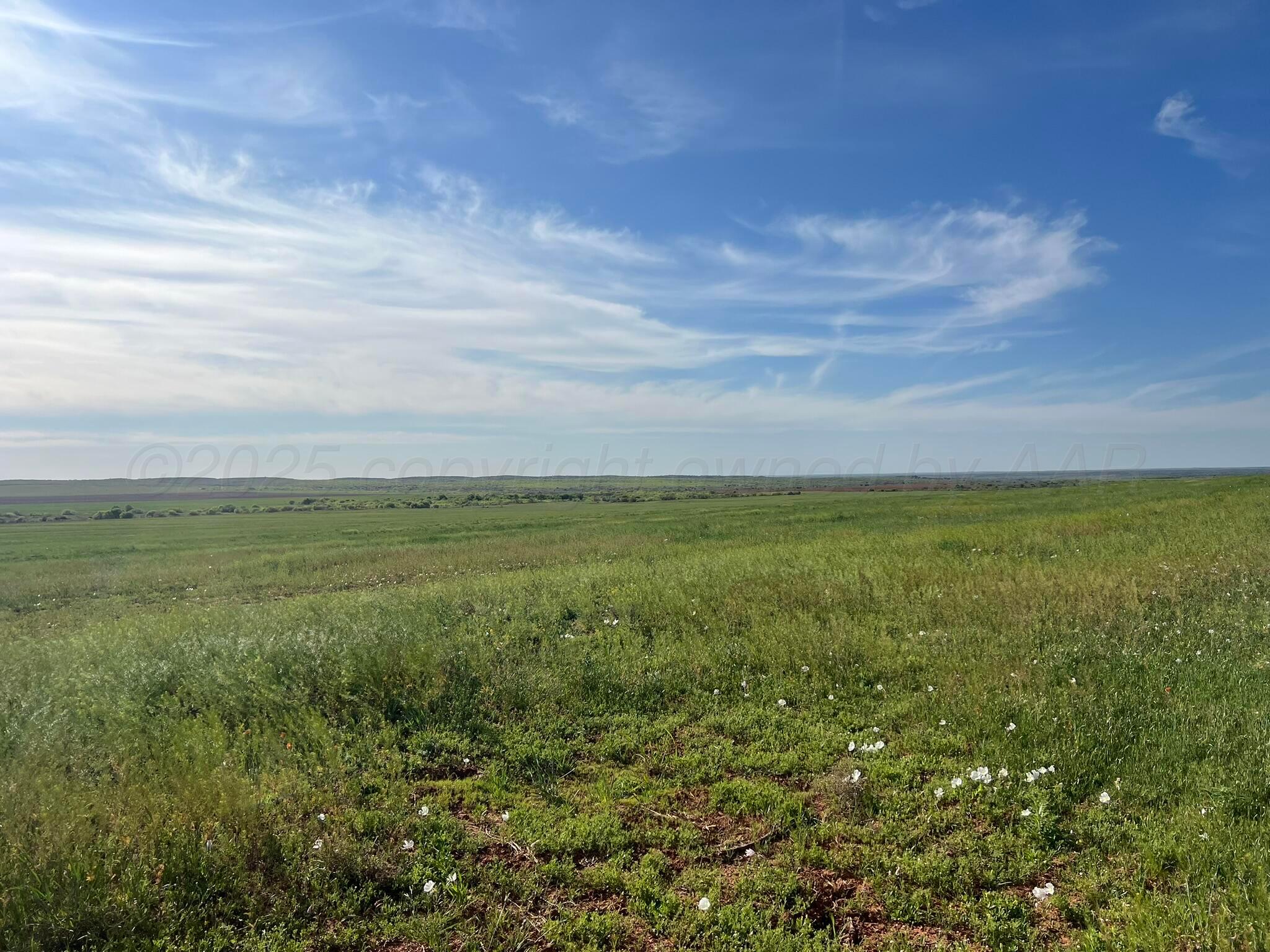 1277 W County Road 184 Dr, Cee Vee, Texas image 9