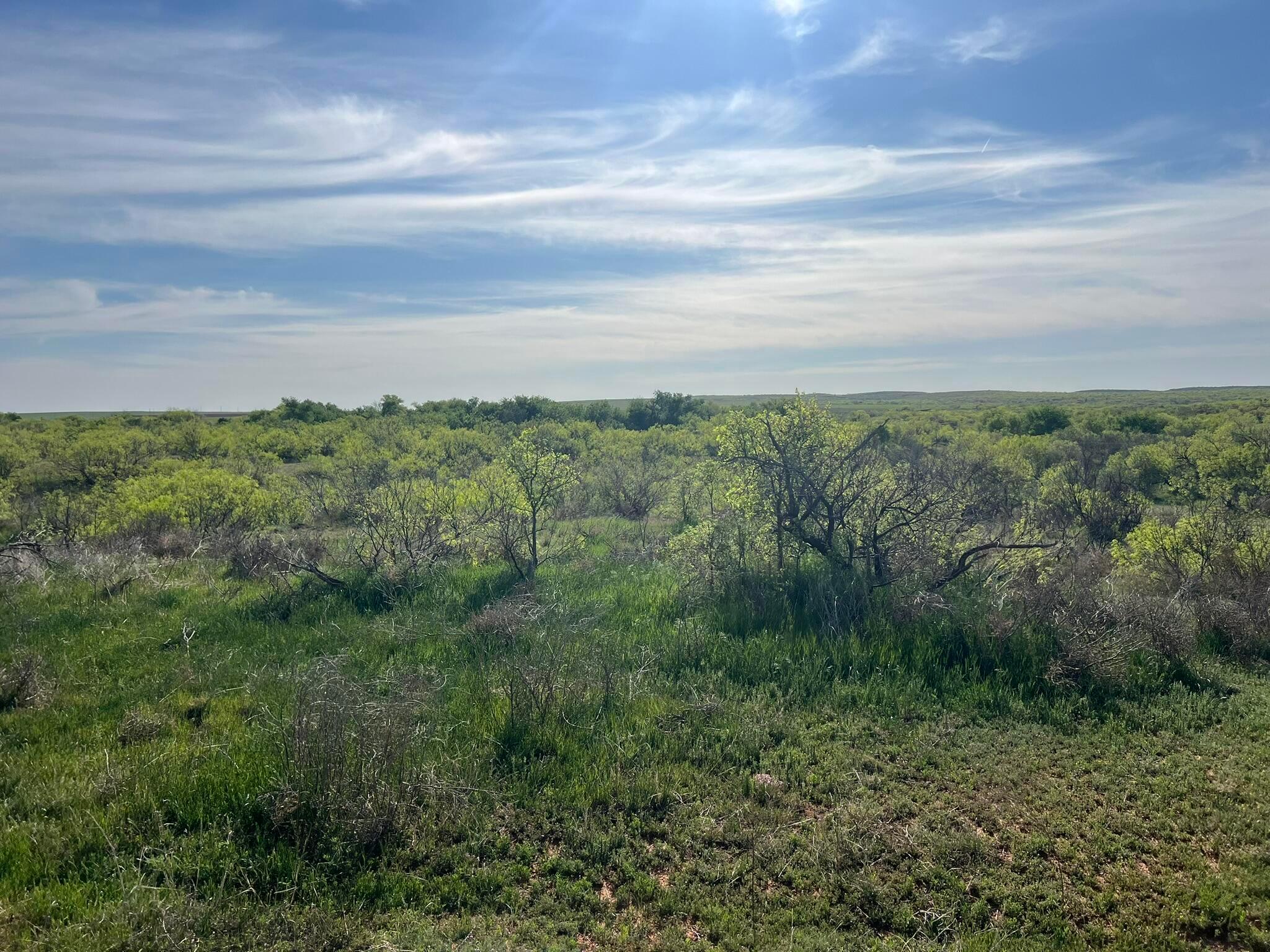 1277 W County Road 184 Dr, Cee Vee, Texas image 21