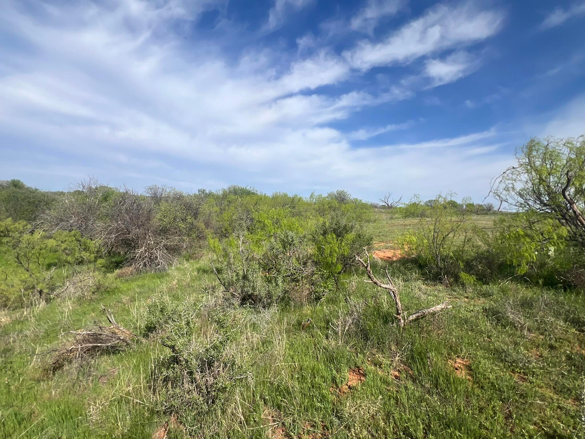 1277 W County Road 184 Dr, Cee Vee, Texas image 43