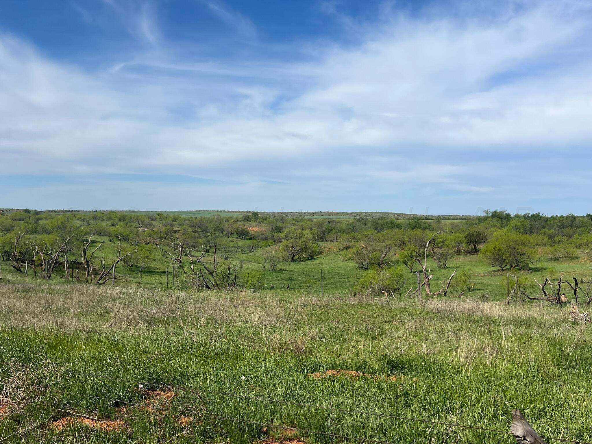 1277 W County Road 184 Dr, Cee Vee, Texas image 36