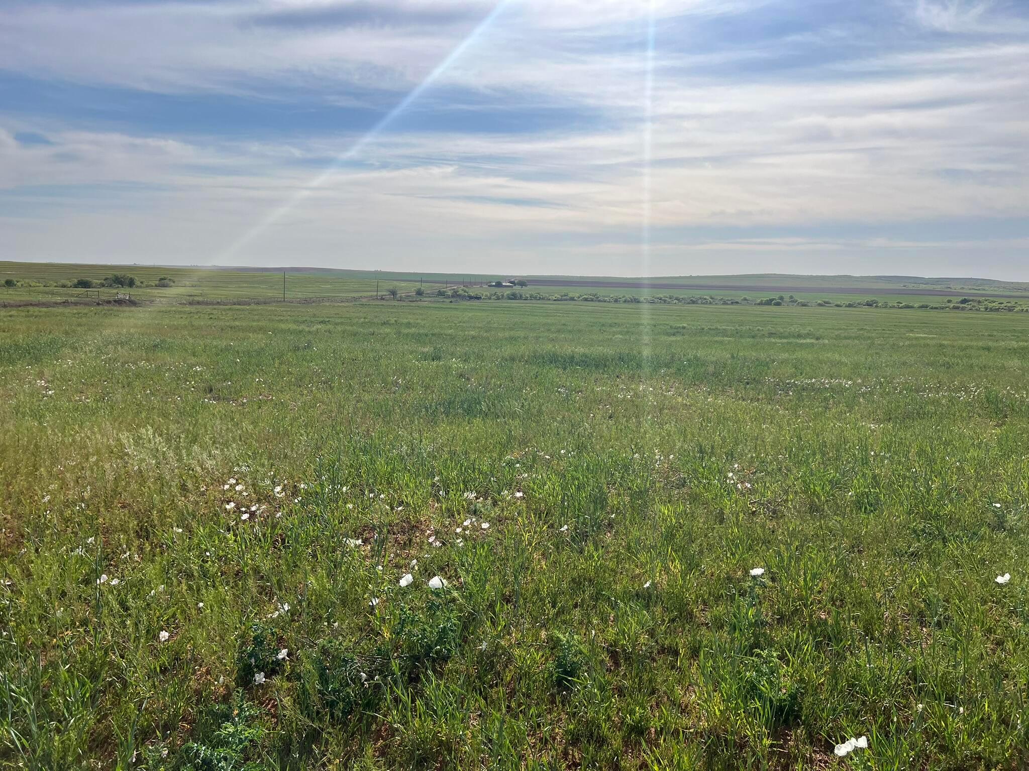 1277 W County Road 184 Dr, Cee Vee, Texas image 10