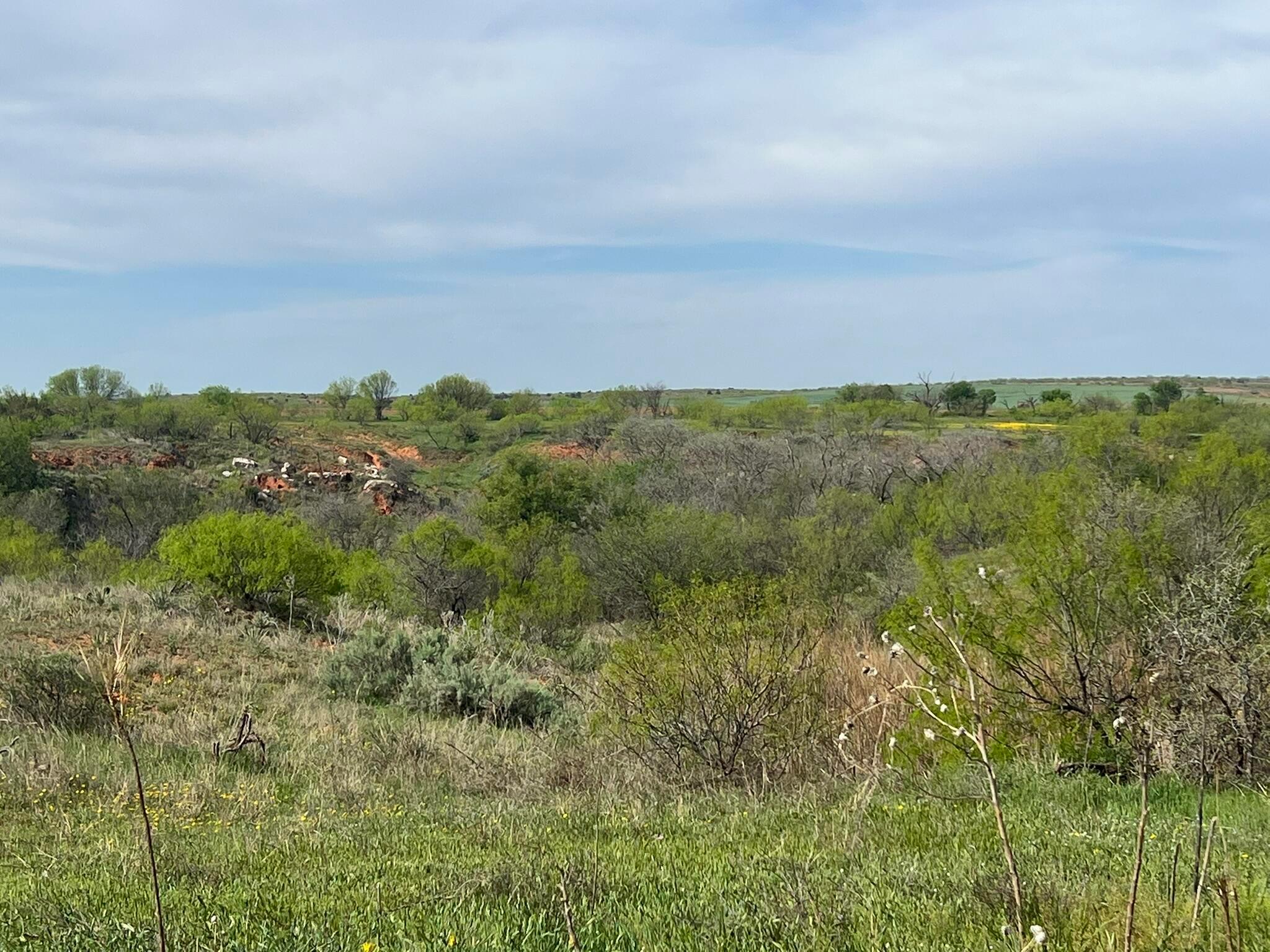 1277 W County Road 184 Dr, Cee Vee, Texas image 35