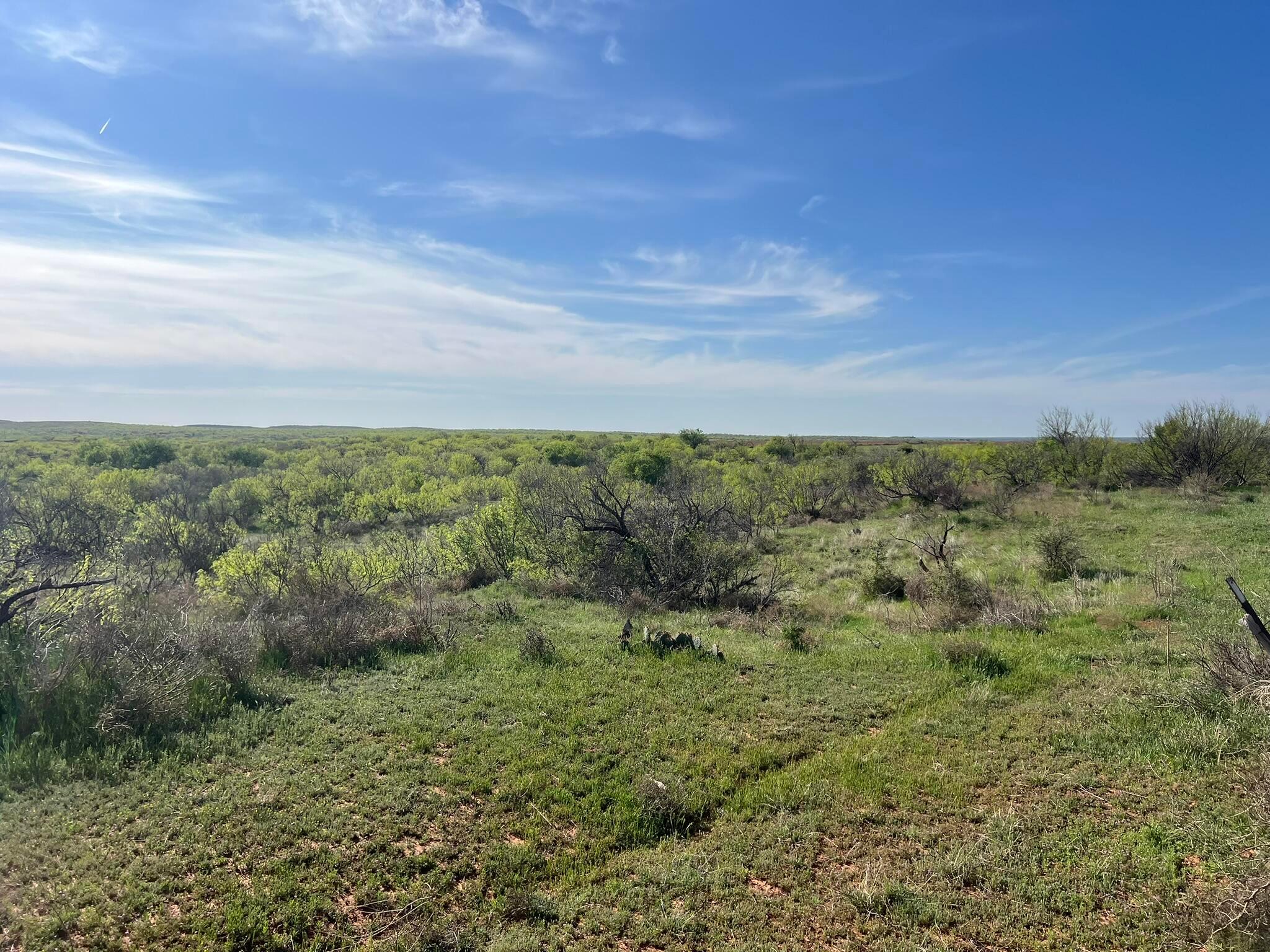 1277 W County Road 184 Dr, Cee Vee, Texas image 20