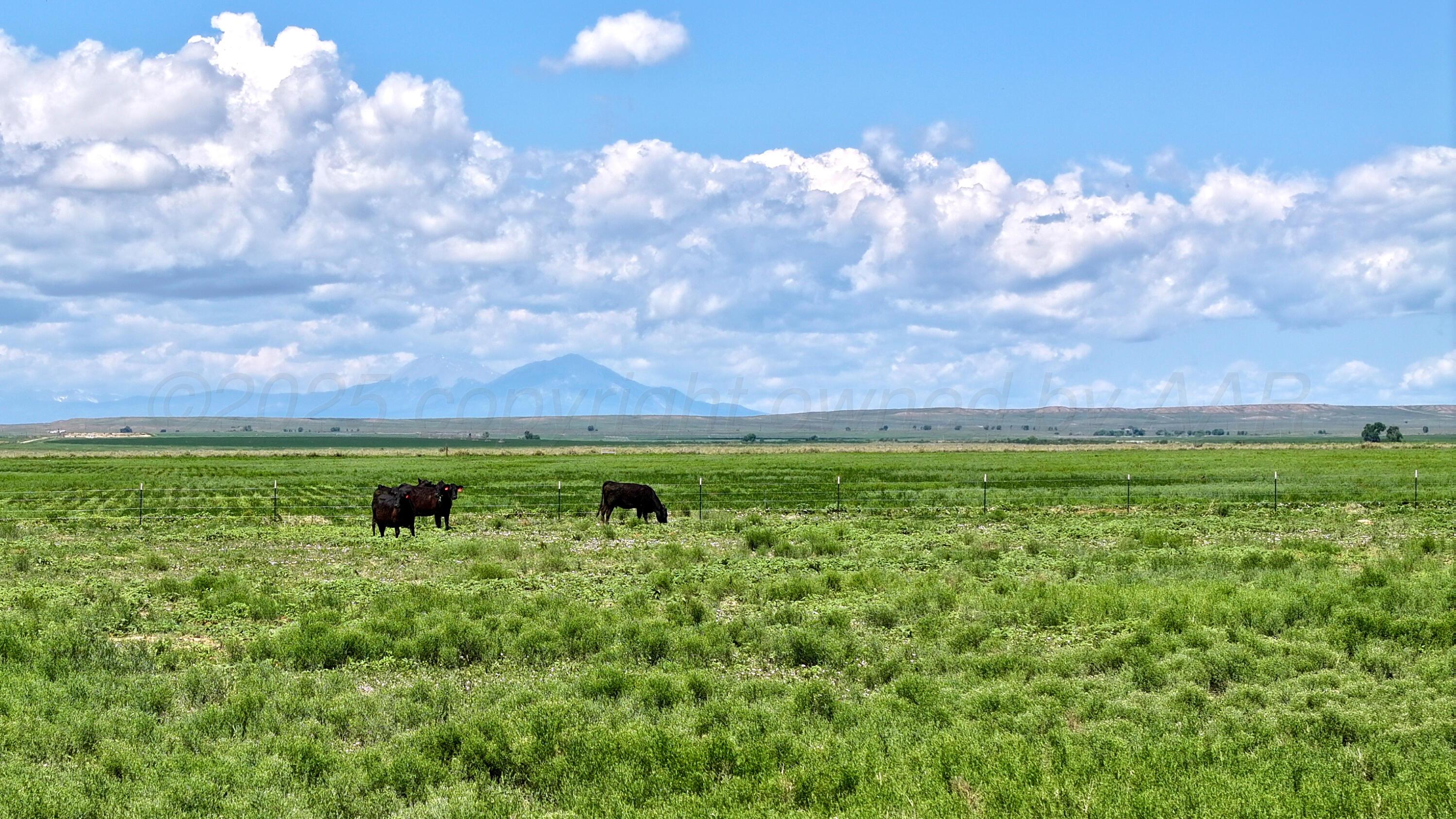 48999 County Road 48