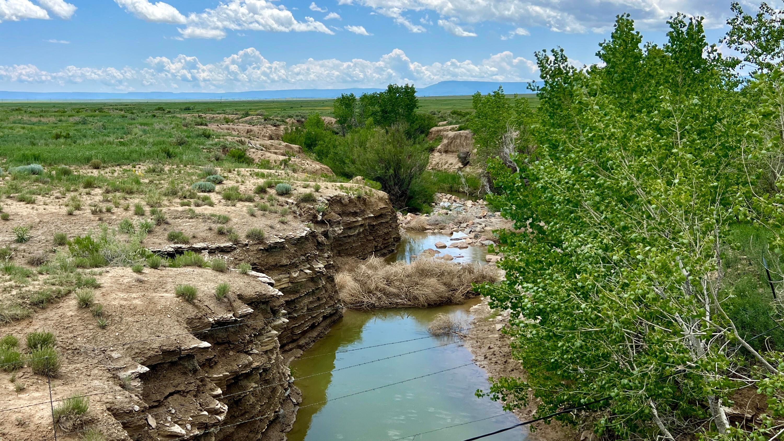 48999 County Road 48