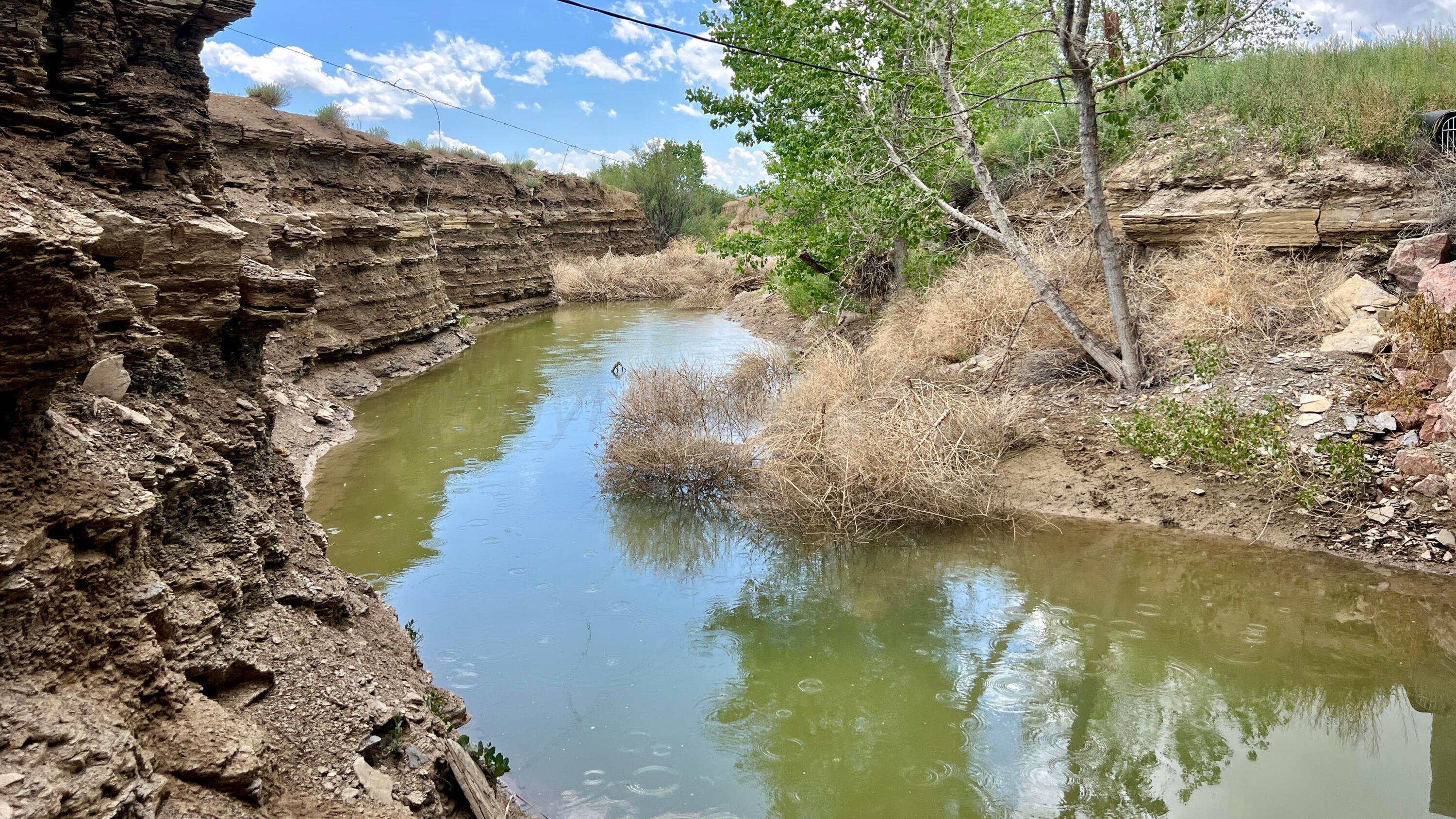 48999 County Road 48