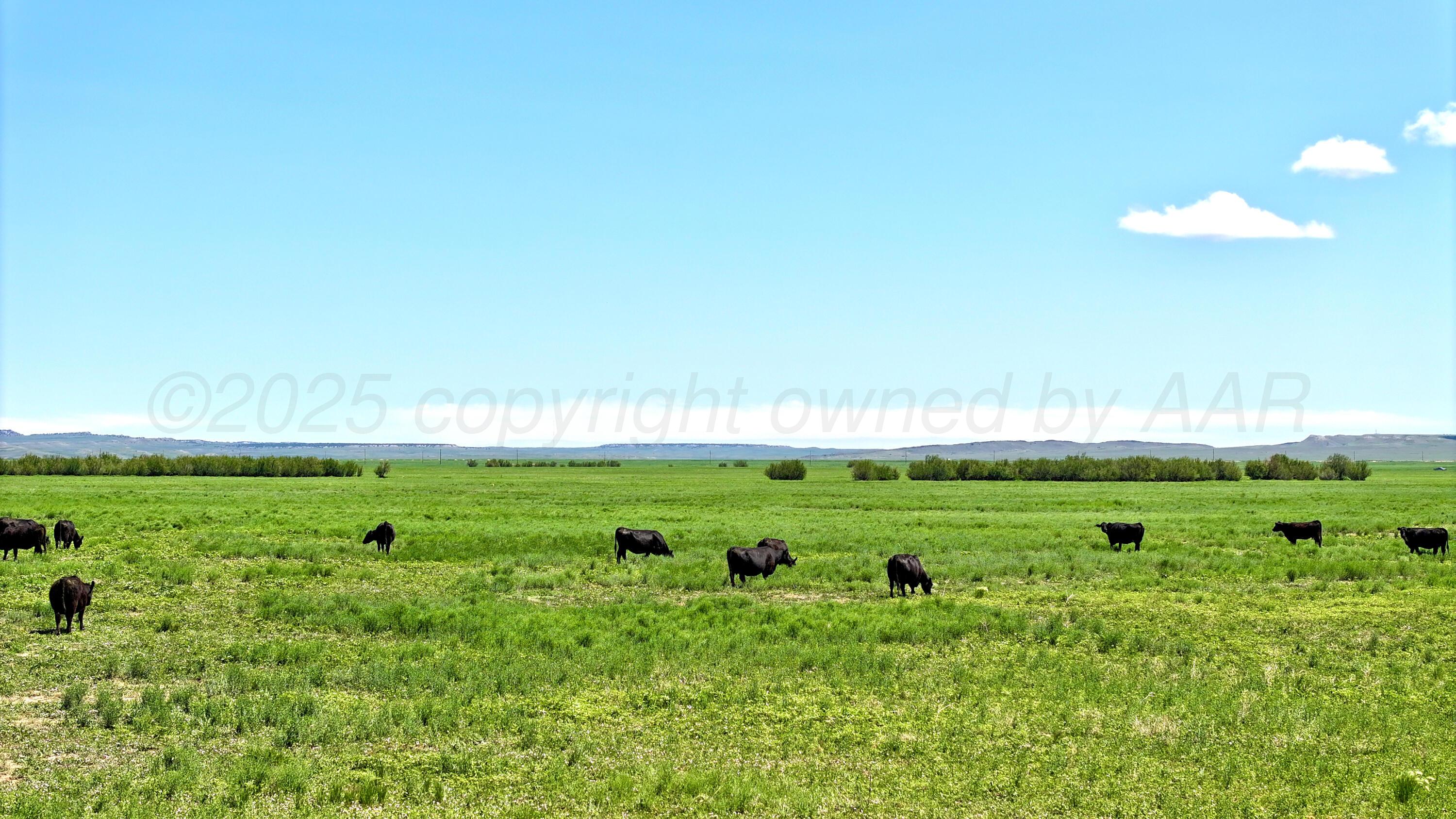 48999 County Road 48