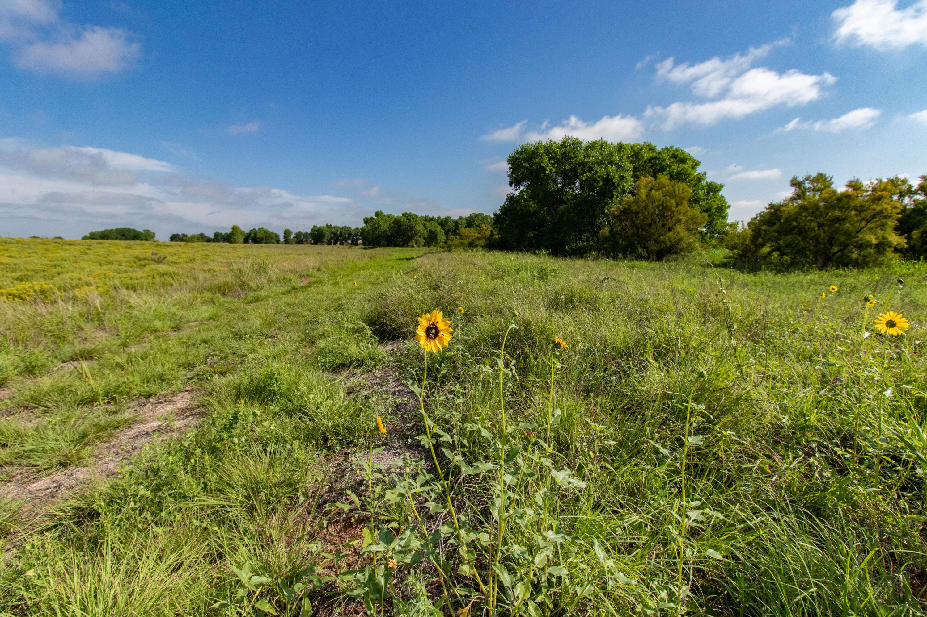 Spring Creek 320 Ac, Memphis, Pennsylvania image 14