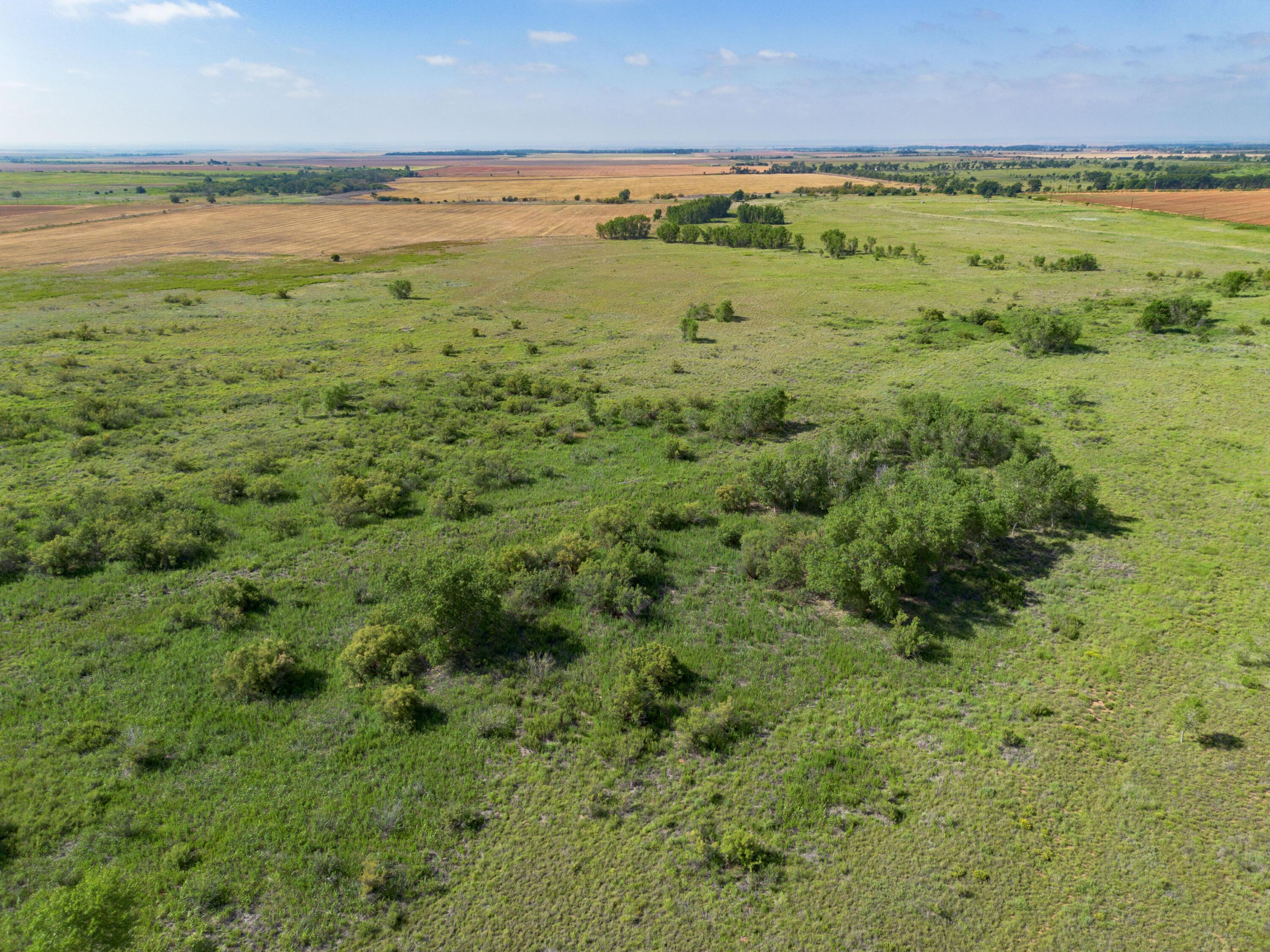Spring Creek 320 Ac, Memphis, Pennsylvania image 47