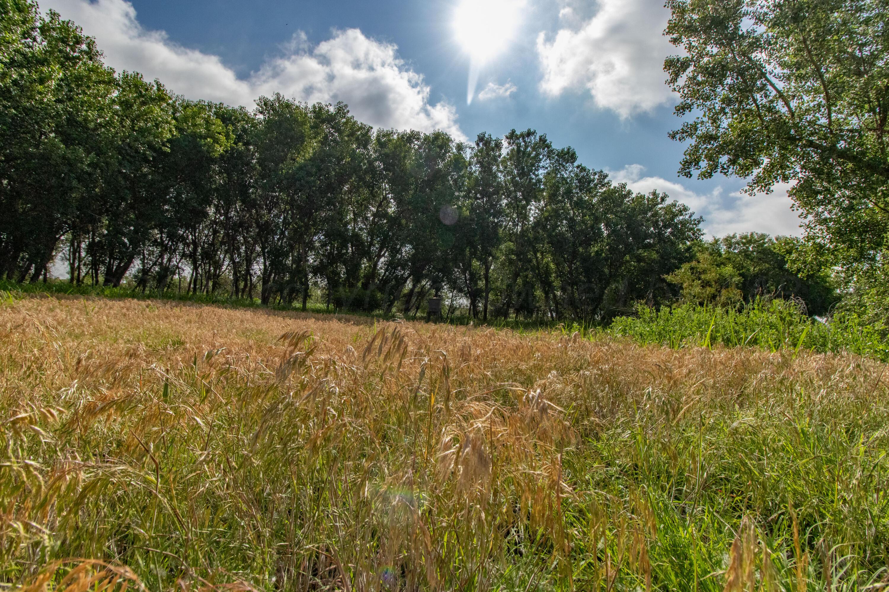Spring Creek 320 Ac, Memphis, Pennsylvania image 12