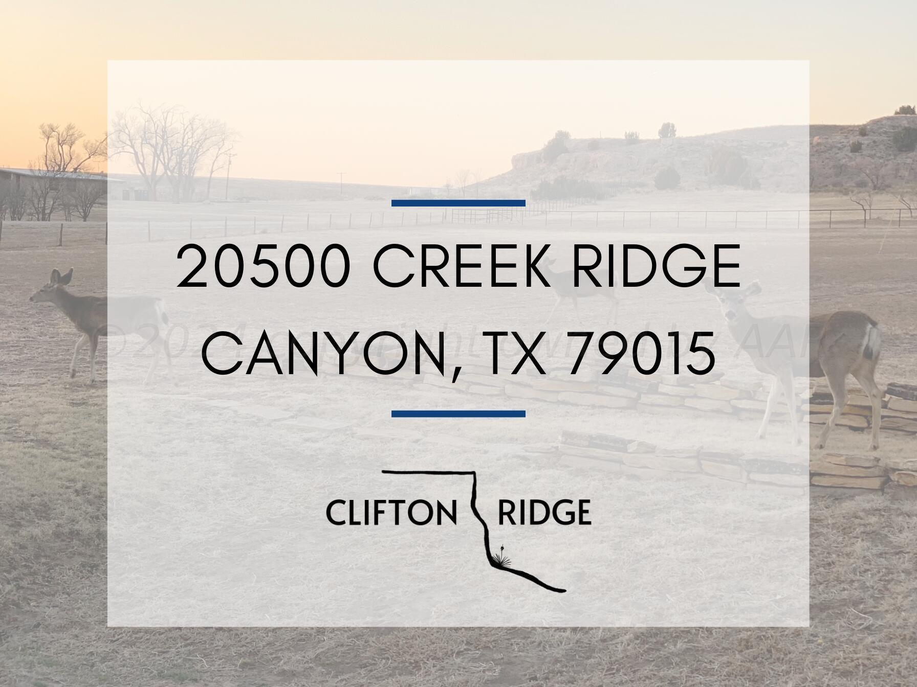 20500 Creek Ridge Rdg, Canyon, Texas image 1