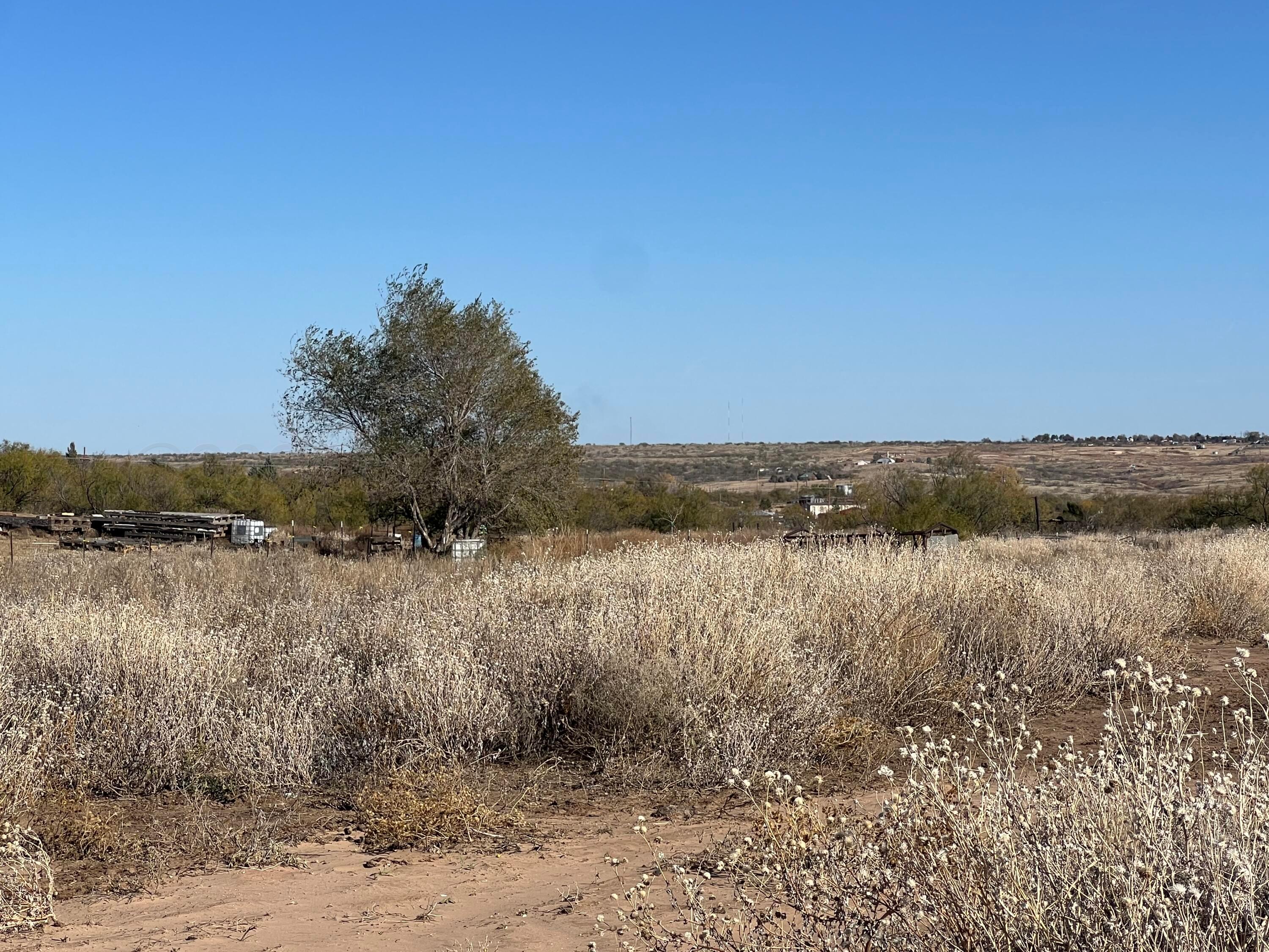 Deahl Road, Fritch, Texas image 8