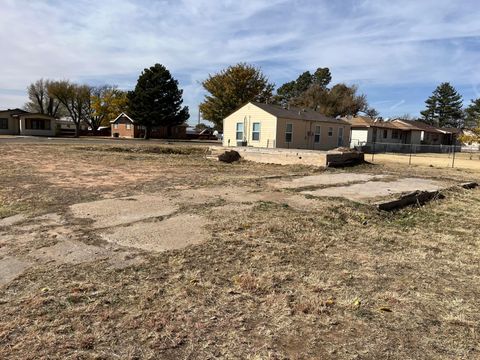 Vacant Land For Sale - 800 Oak Ave<br/> Carson County, Panhandle, TX 79068