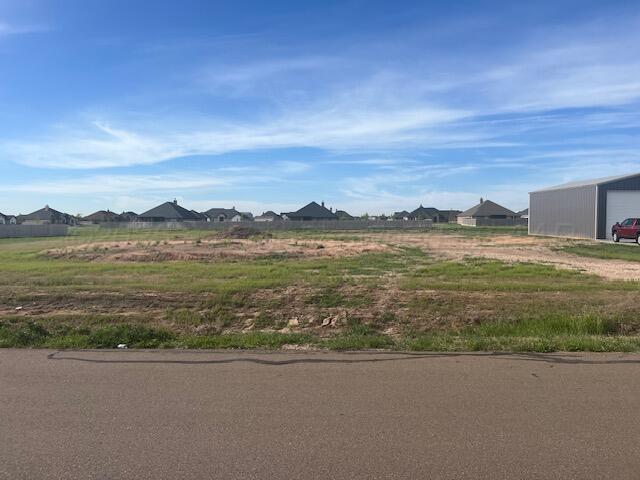9735 S Agave Drive, Amarillo, Alaska image 2