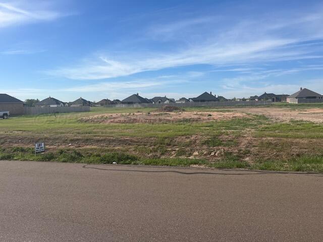 9735 S Agave Drive, Amarillo, Alaska image 1