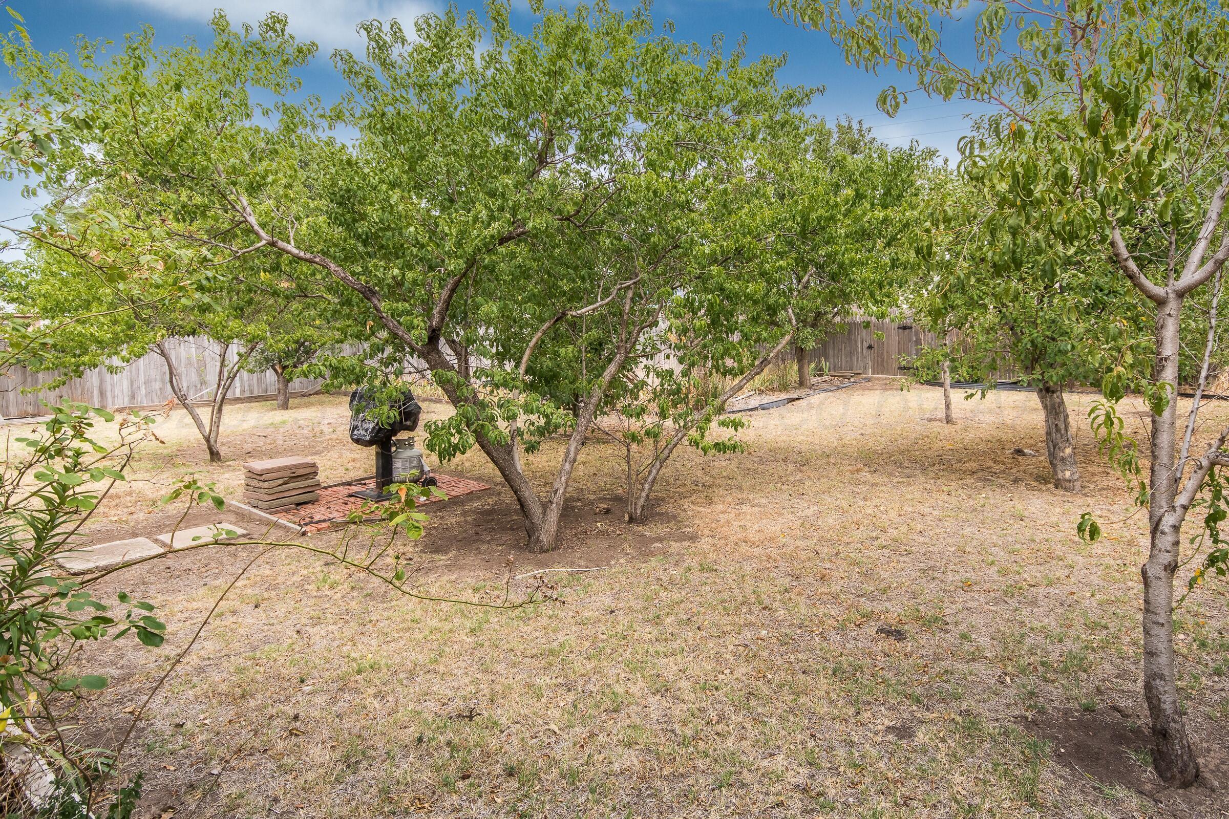 1128 Sierra Drive, Pampa, Texas image 15