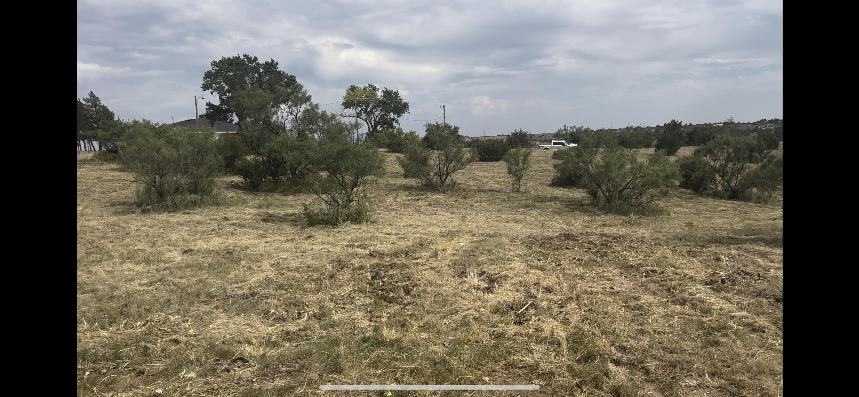 Wild Plum Drive, Amarillo, Texas image 10