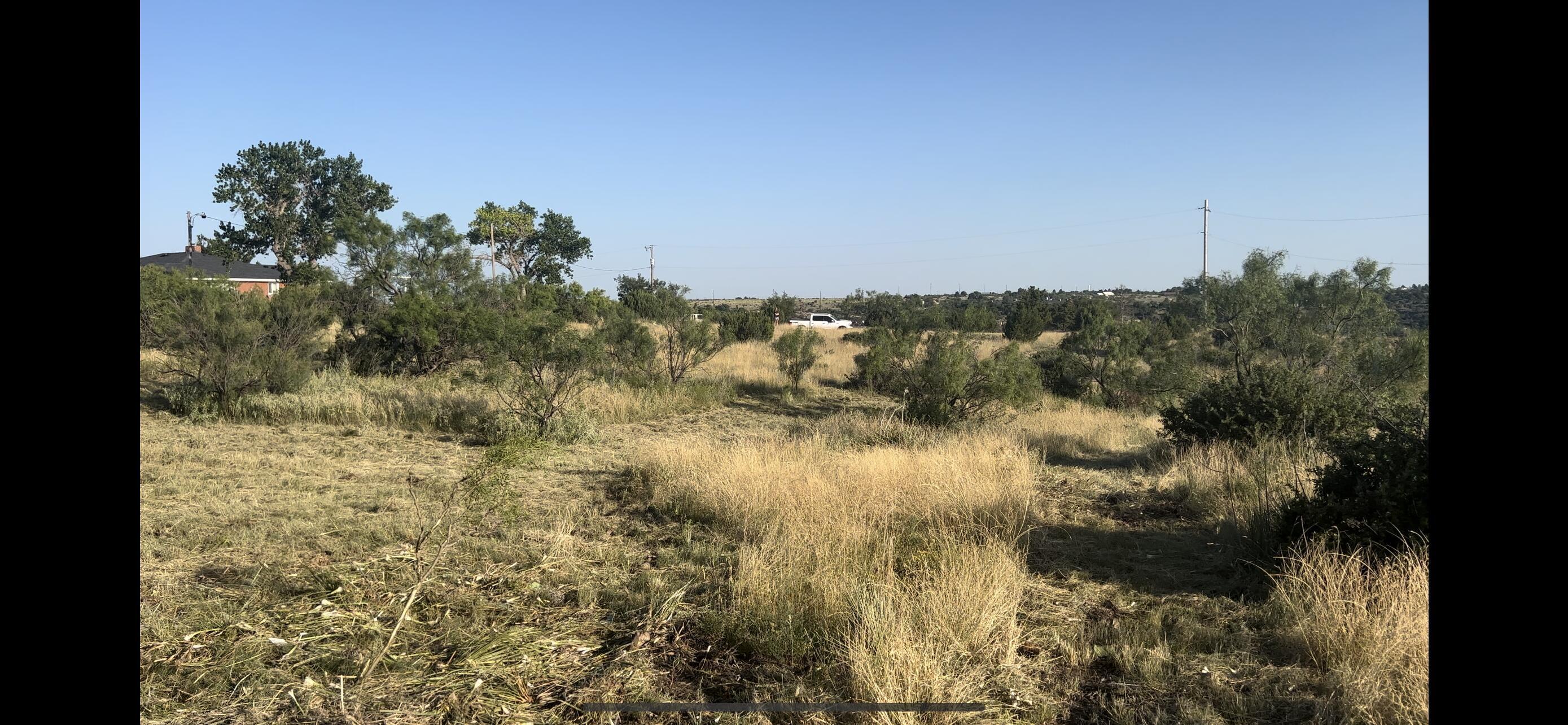 Wild Plum Drive, Amarillo, Texas image 3