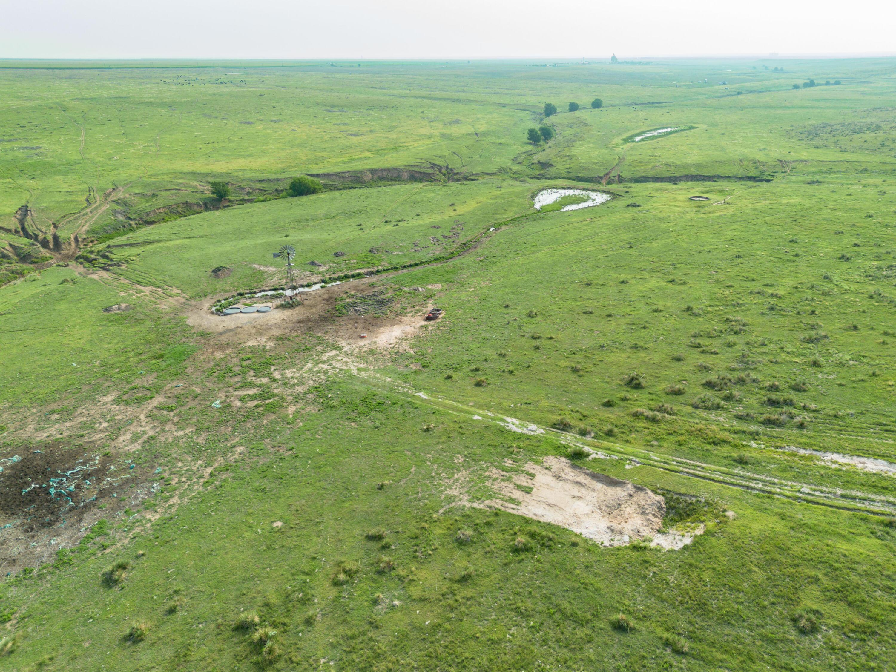 South Palo Duro Creek, Morse, Texas image 24