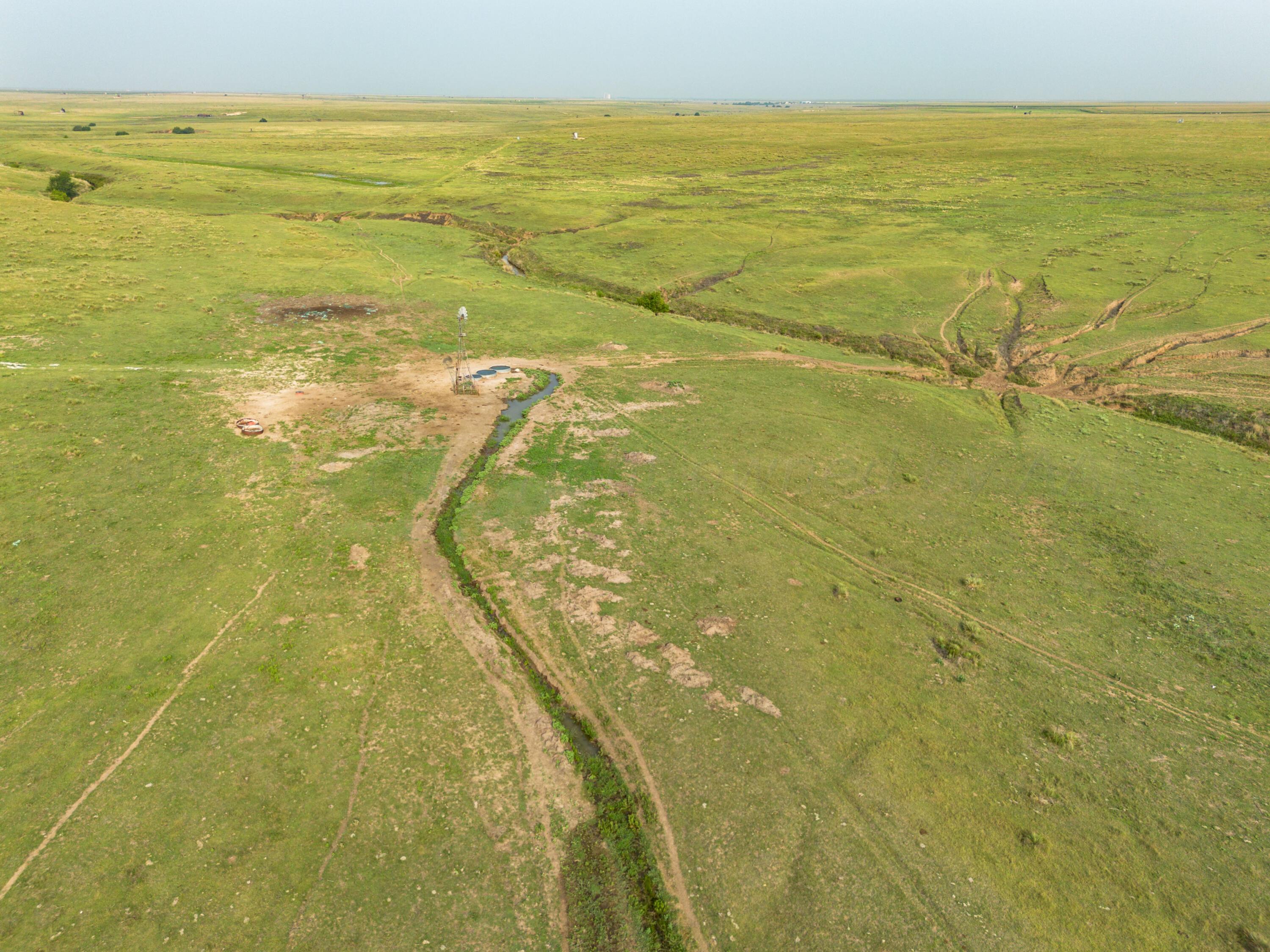 South Palo Duro Creek, Morse, Texas image 12