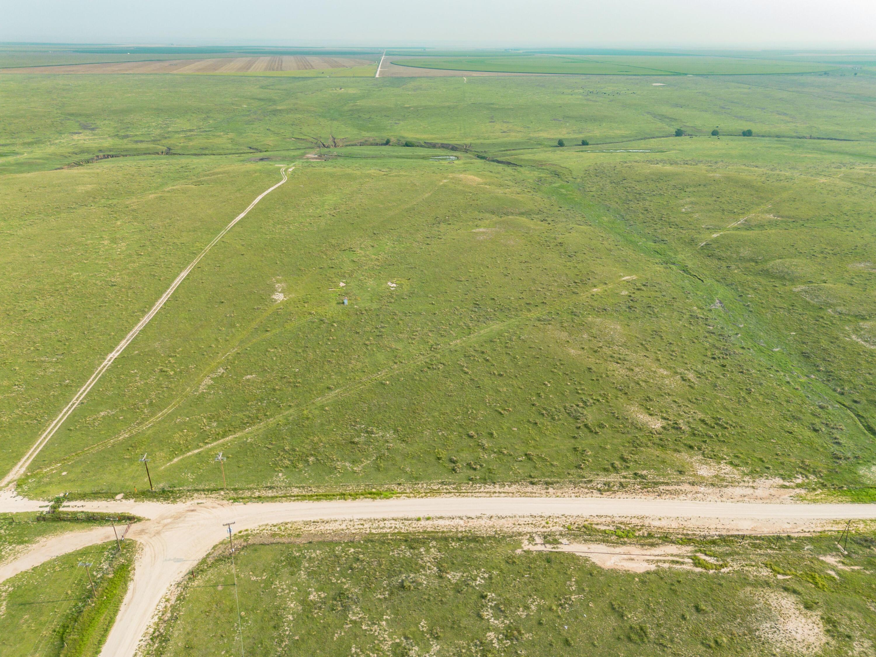 South Palo Duro Creek, Morse, Texas image 13