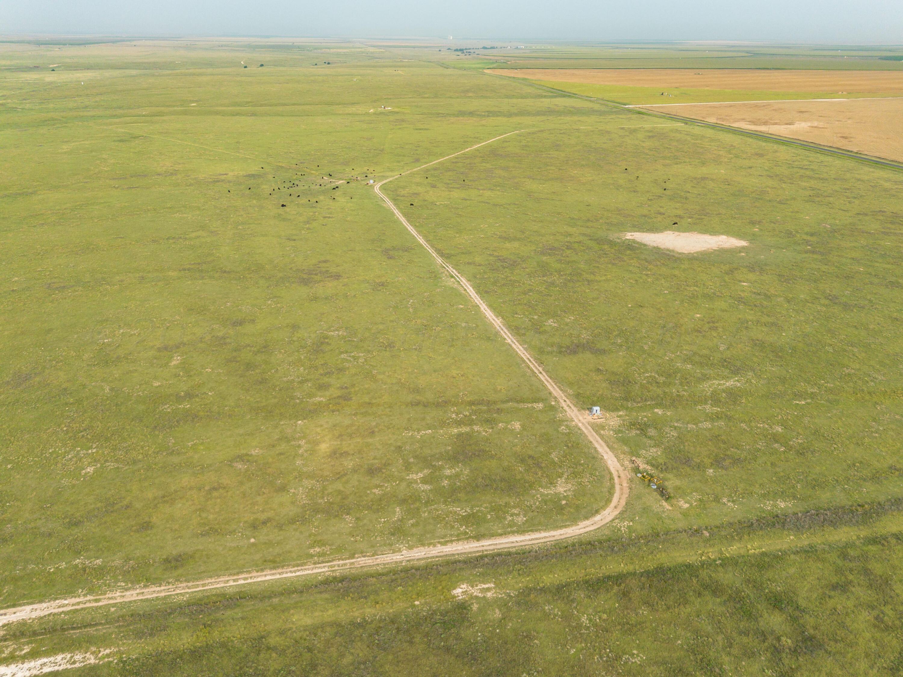 South Palo Duro Creek, Morse, Texas image 19