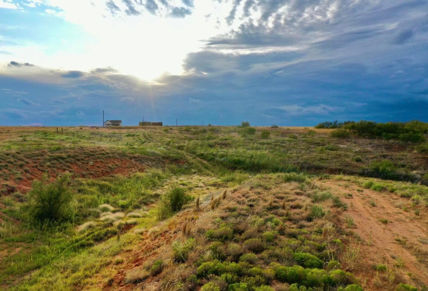 10739 N Benoit St, Estelline, Texas image 9